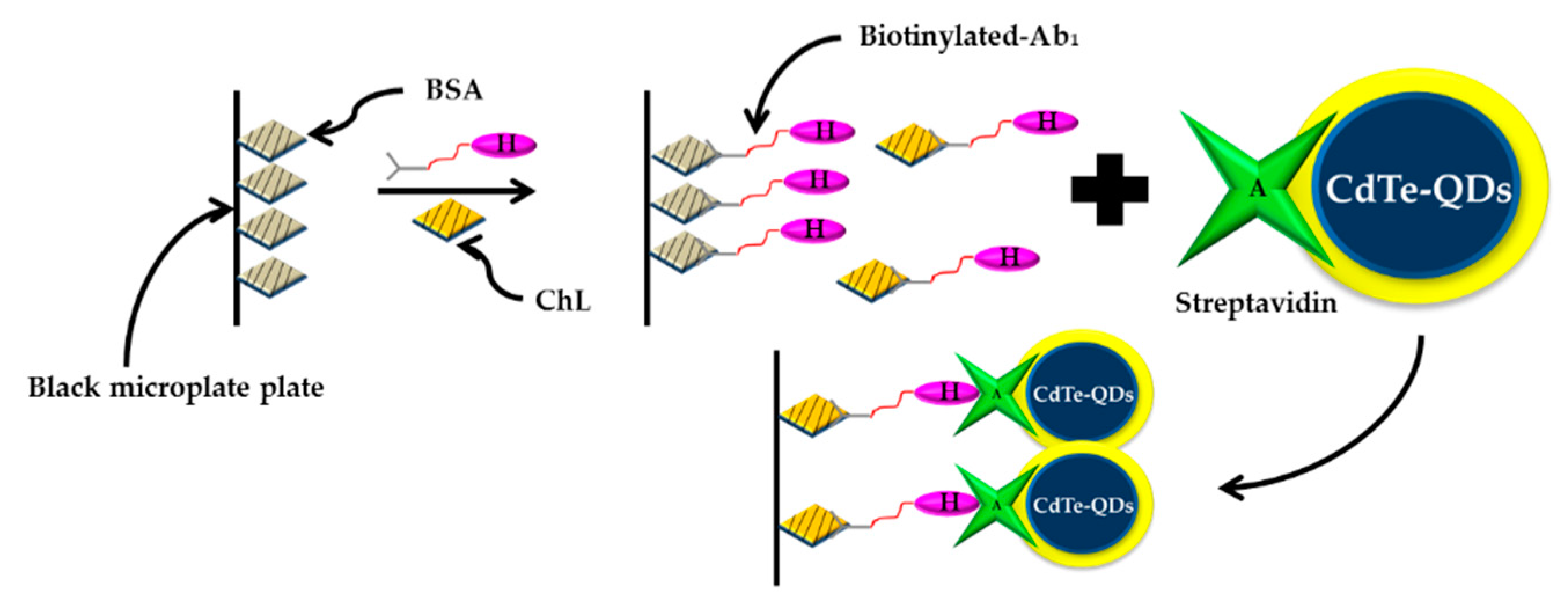 Sensors 21 03856 g011 Sensors 21 03856 g011