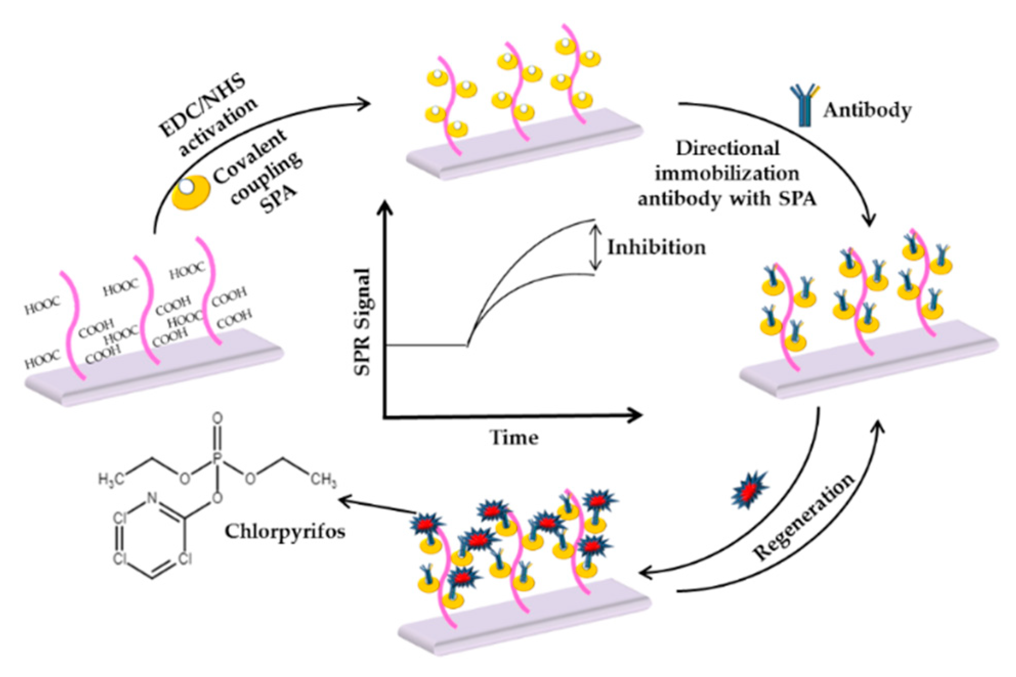 Sensors 21 03856 g012 Sensors 21 03856 g012
