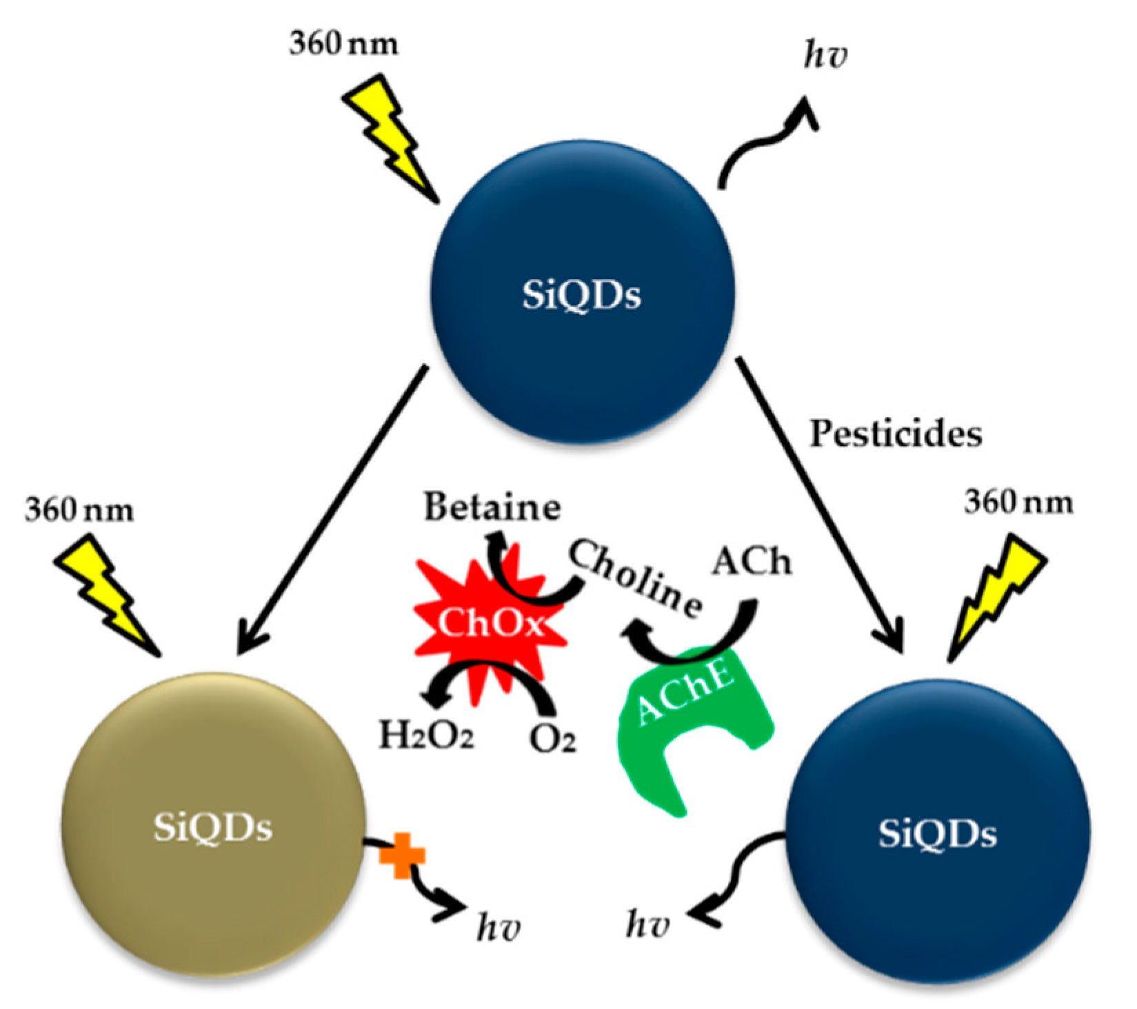 Sensors 21 03856 g013 Sensors 21 03856 g013