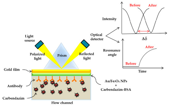Recent Advances on Detection of Insecticides Using Optical