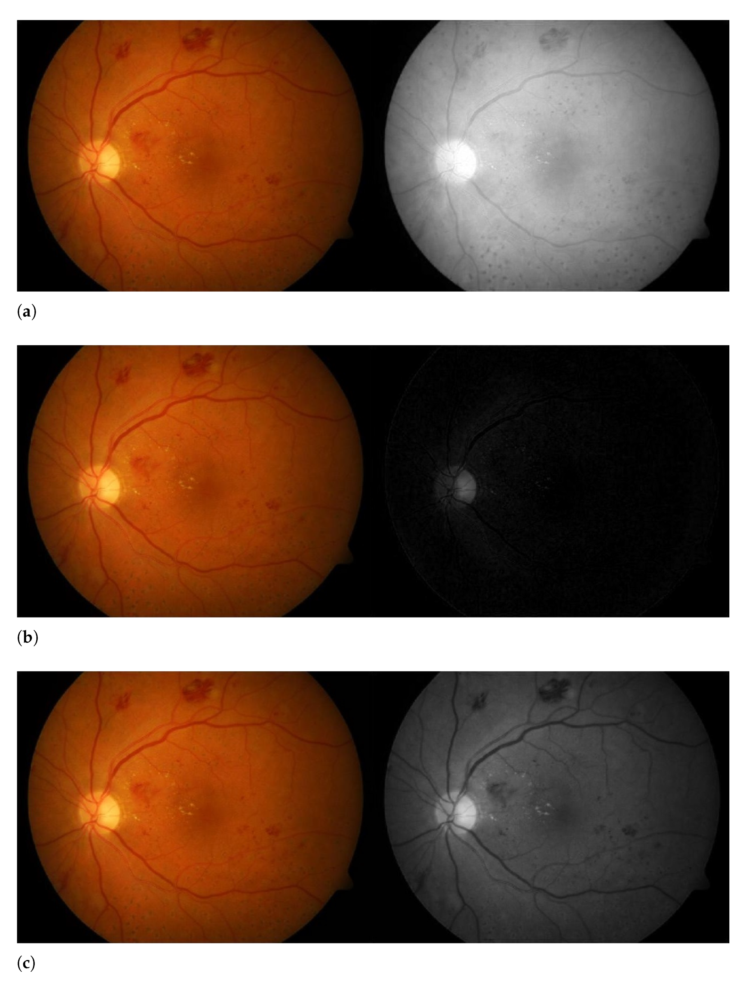 Sensors 21 03865 g003 Sensors 21 03865 g003