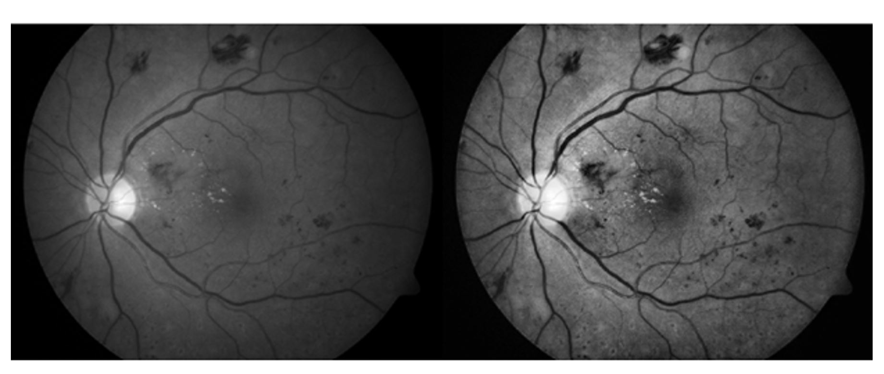 Sensors 21 03865 g004 Sensors 21 03865 g004