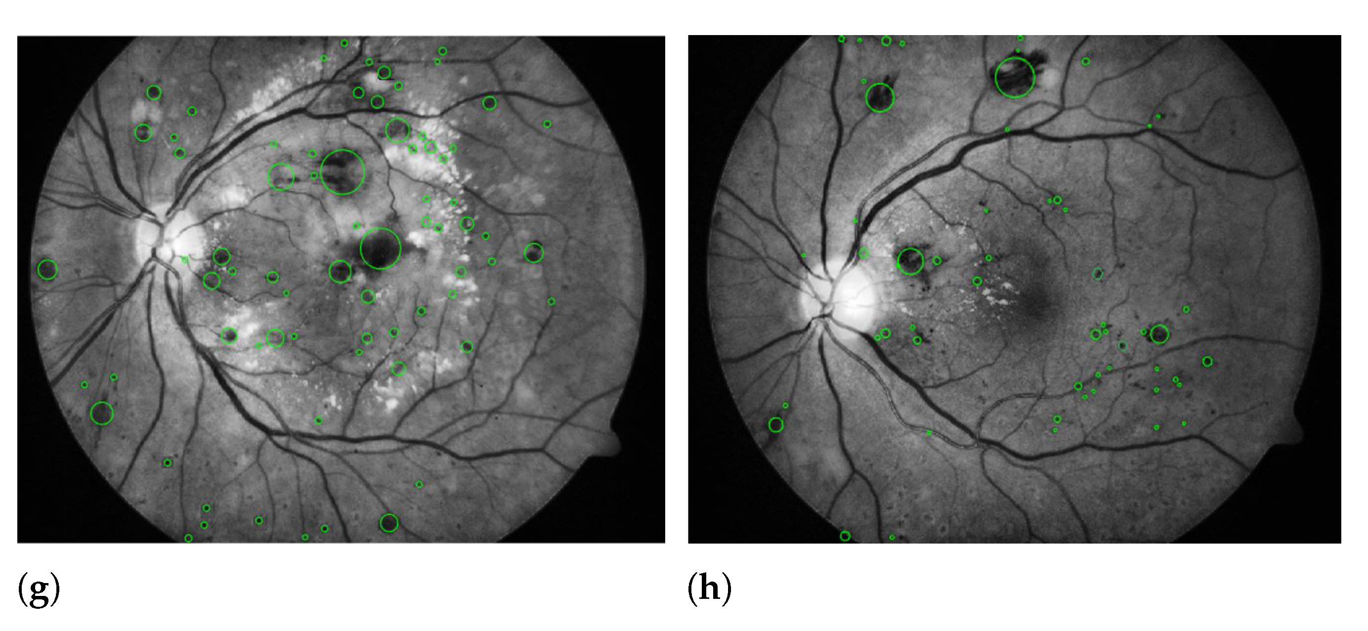 Sensors 21 03865 g006b Sensors 21 03865 g006b
