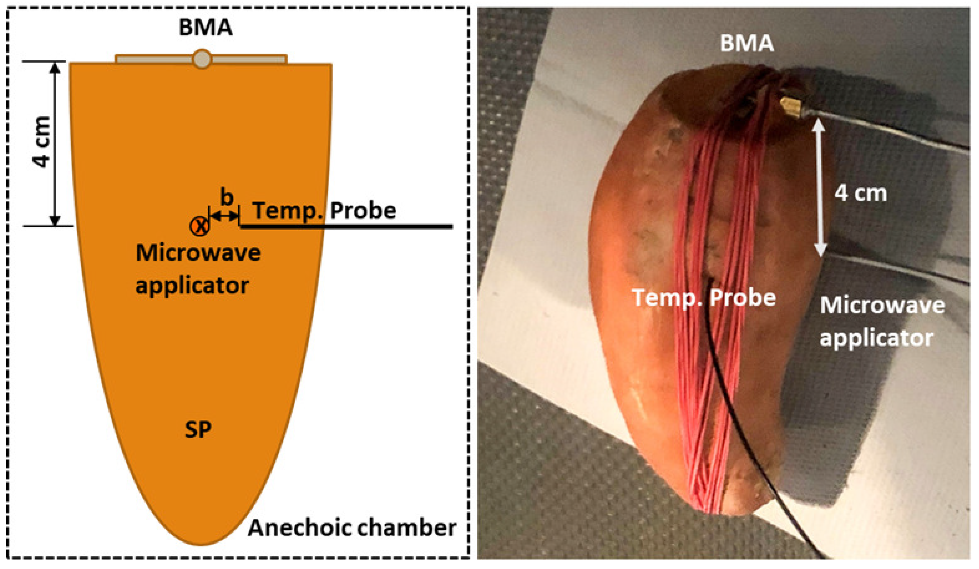 Sensors 21 03894 g006 Sensors 21 03894 g006