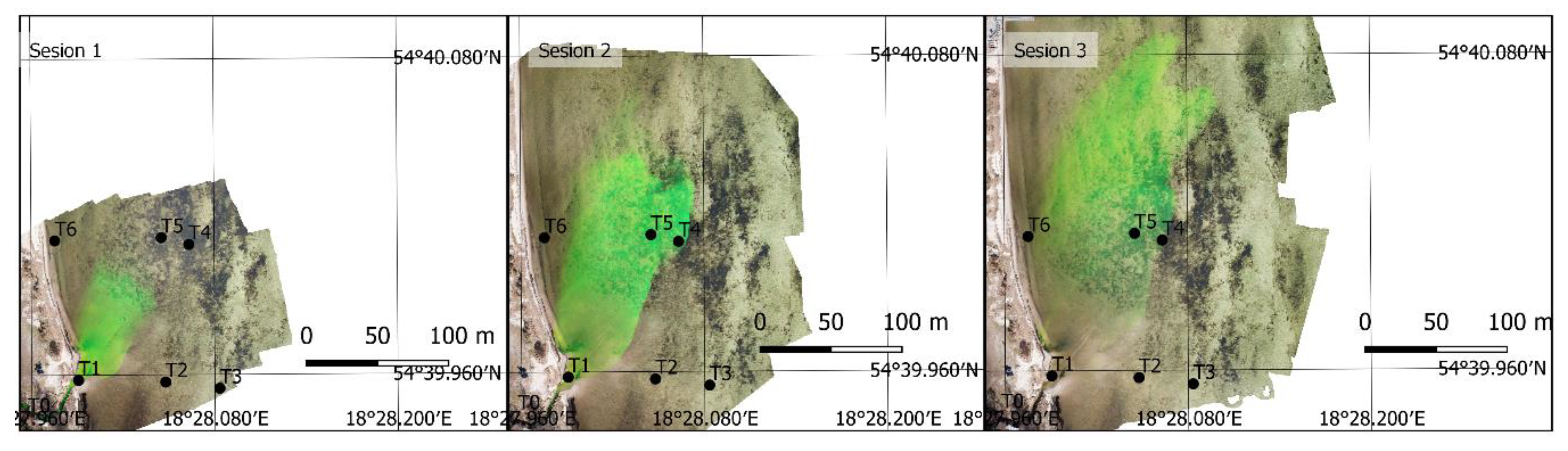 Sensors 21 03905 g006 Sensors 21 03905 g006