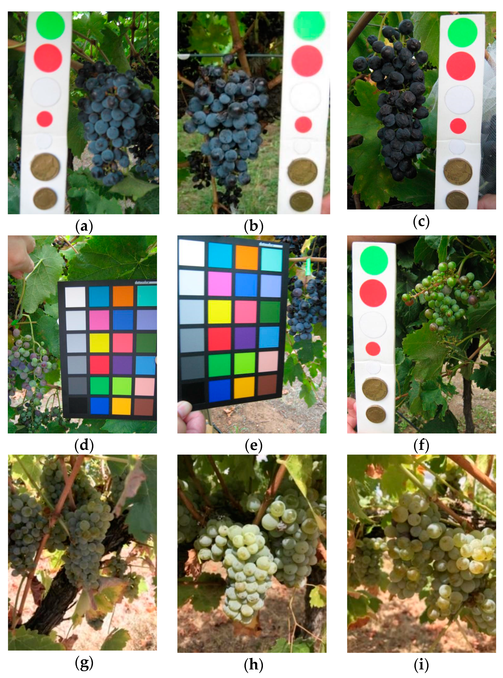 Sensors 21 03908 g011 Sensors 21 03908 g011