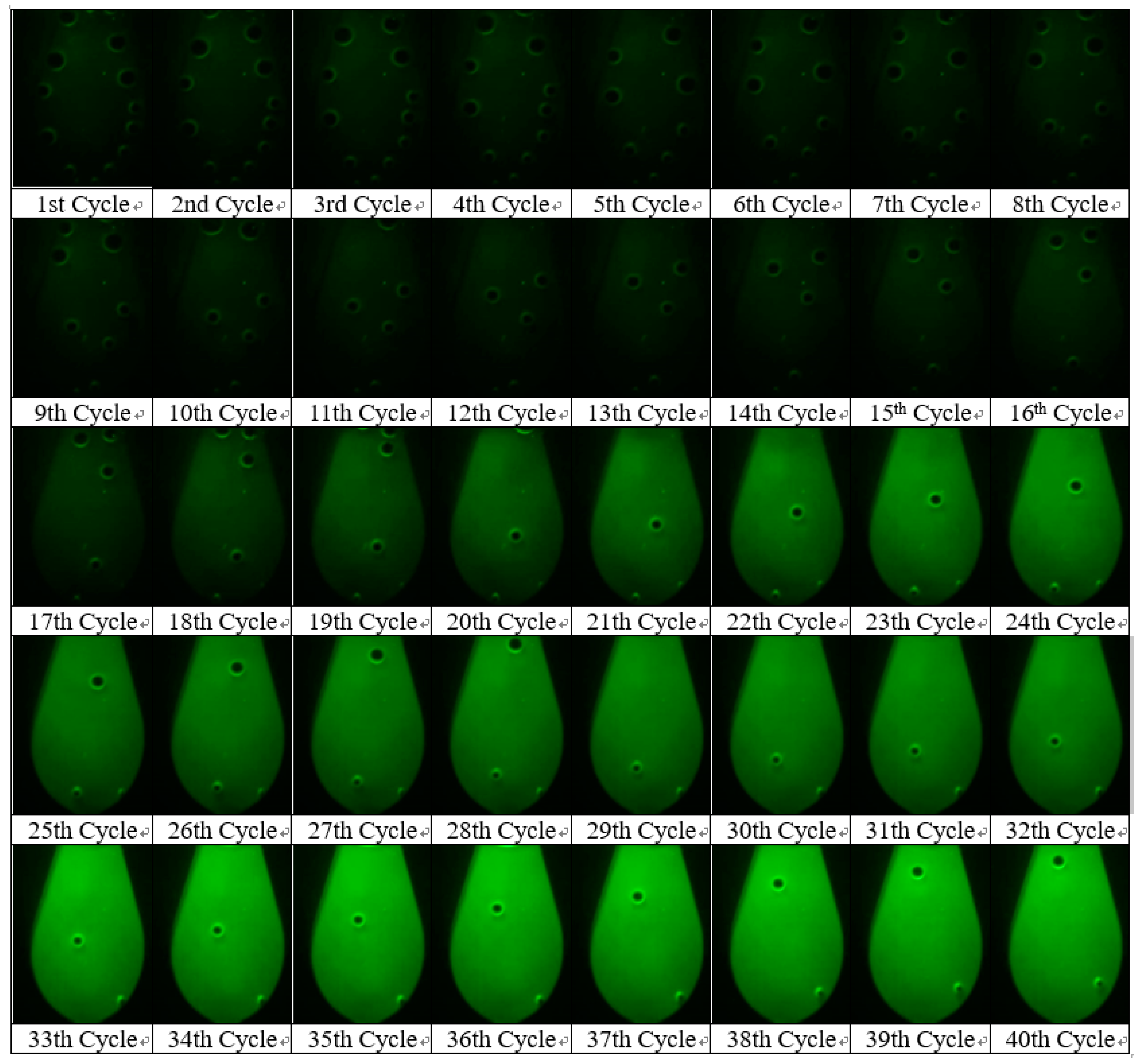 Sensors 21 03917 g005 Sensors 21 03917 g005
