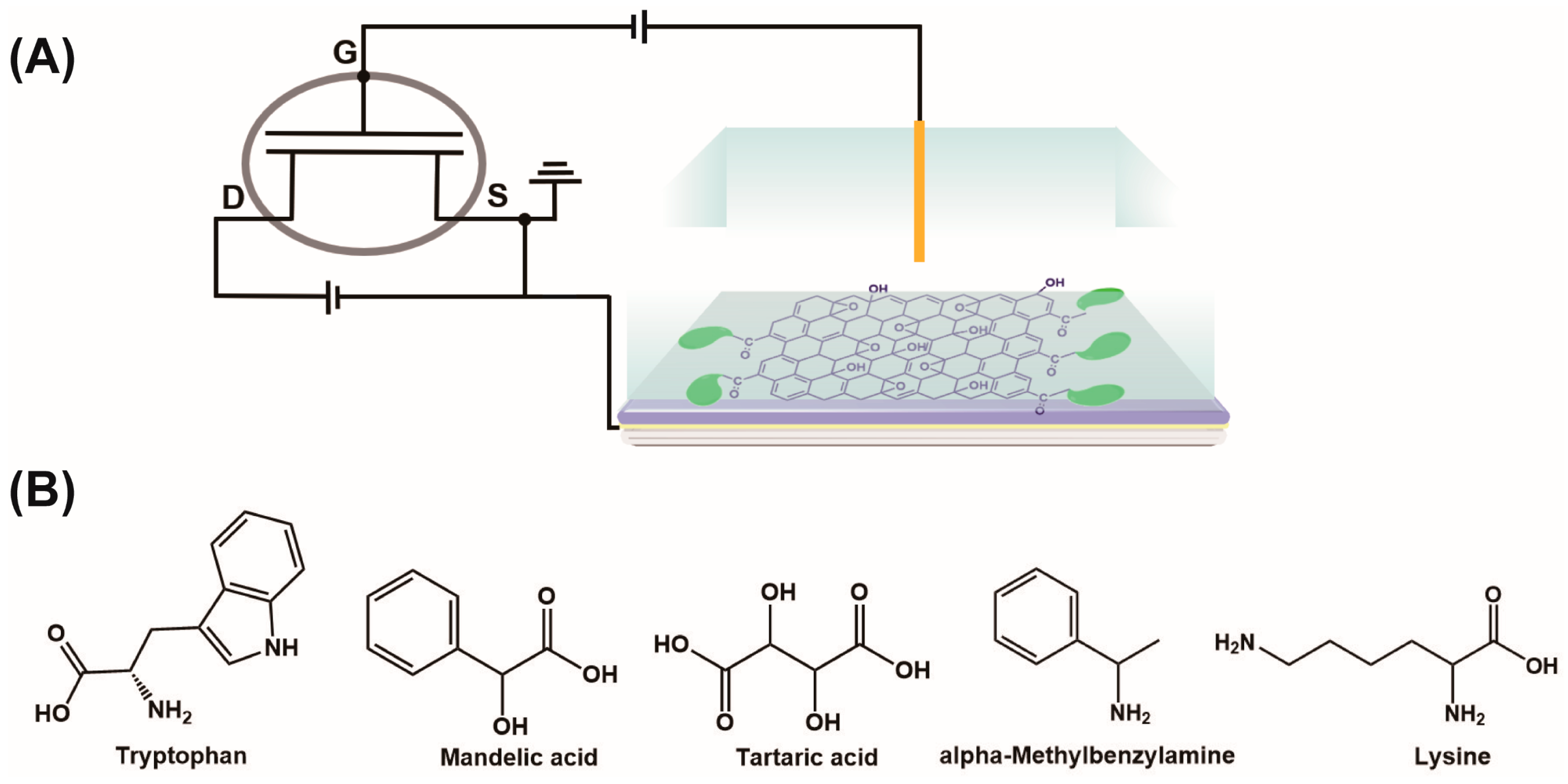 Sensors 21 03921 g005 Sensors 21 03921 g005