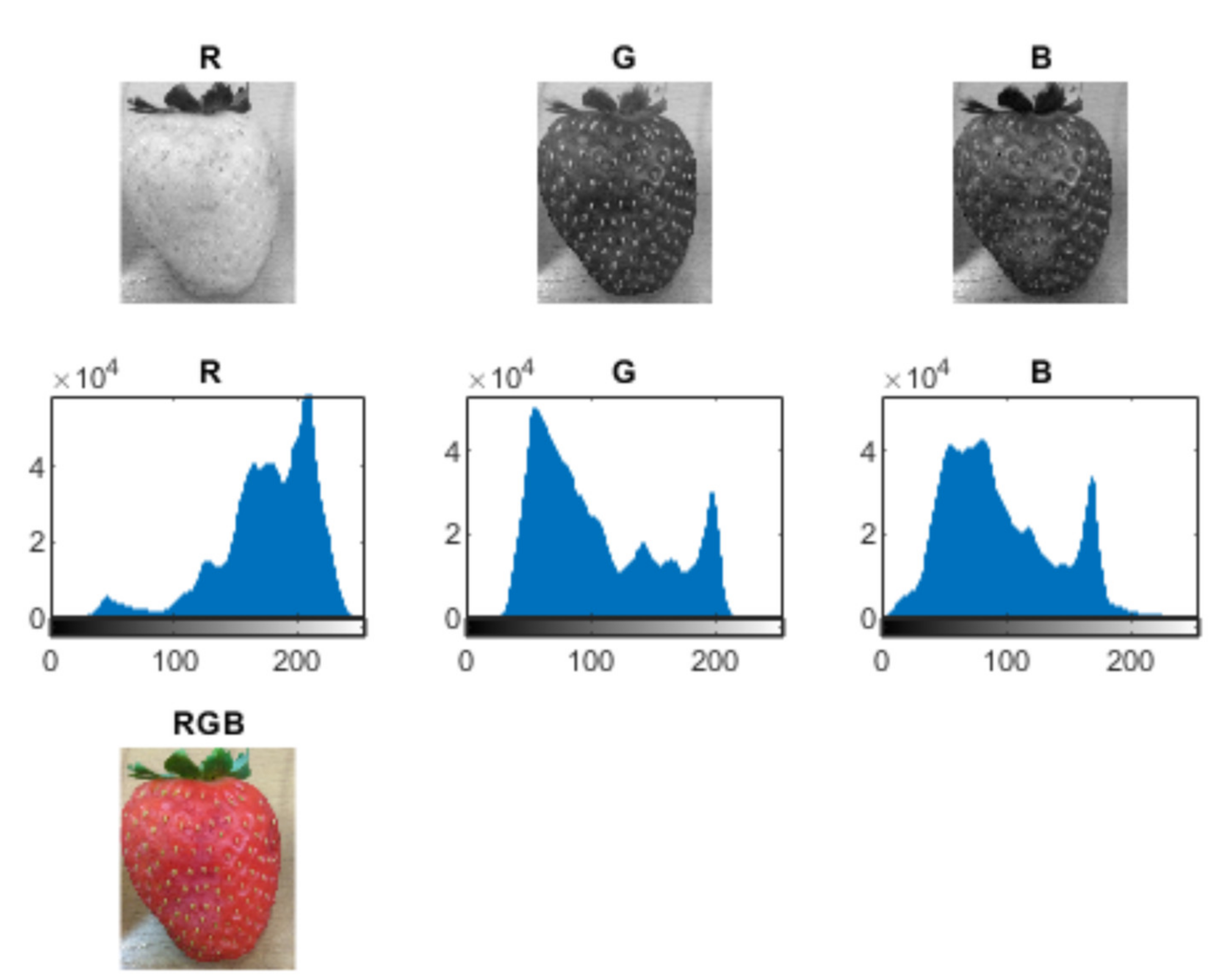 Sensors 21 03933 g005