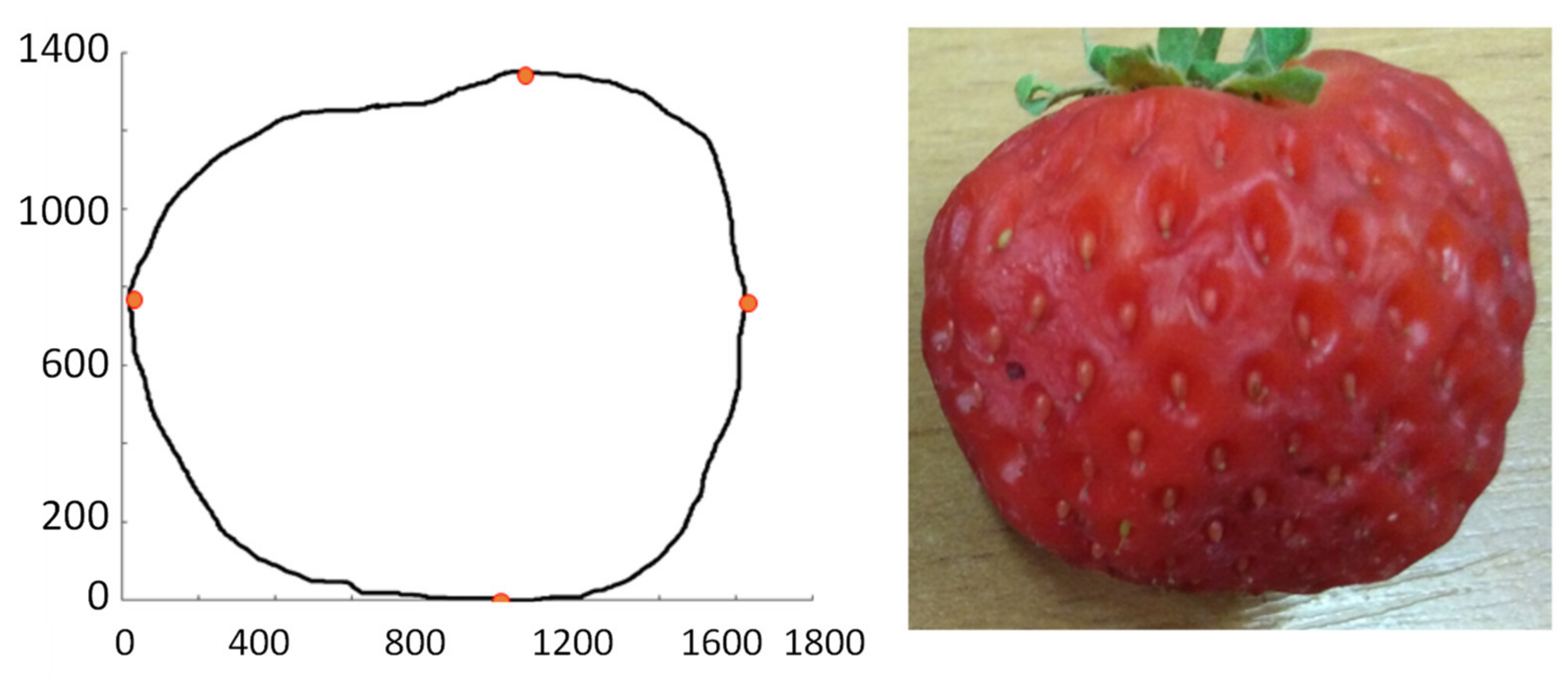 Sensors 21 03933 g009