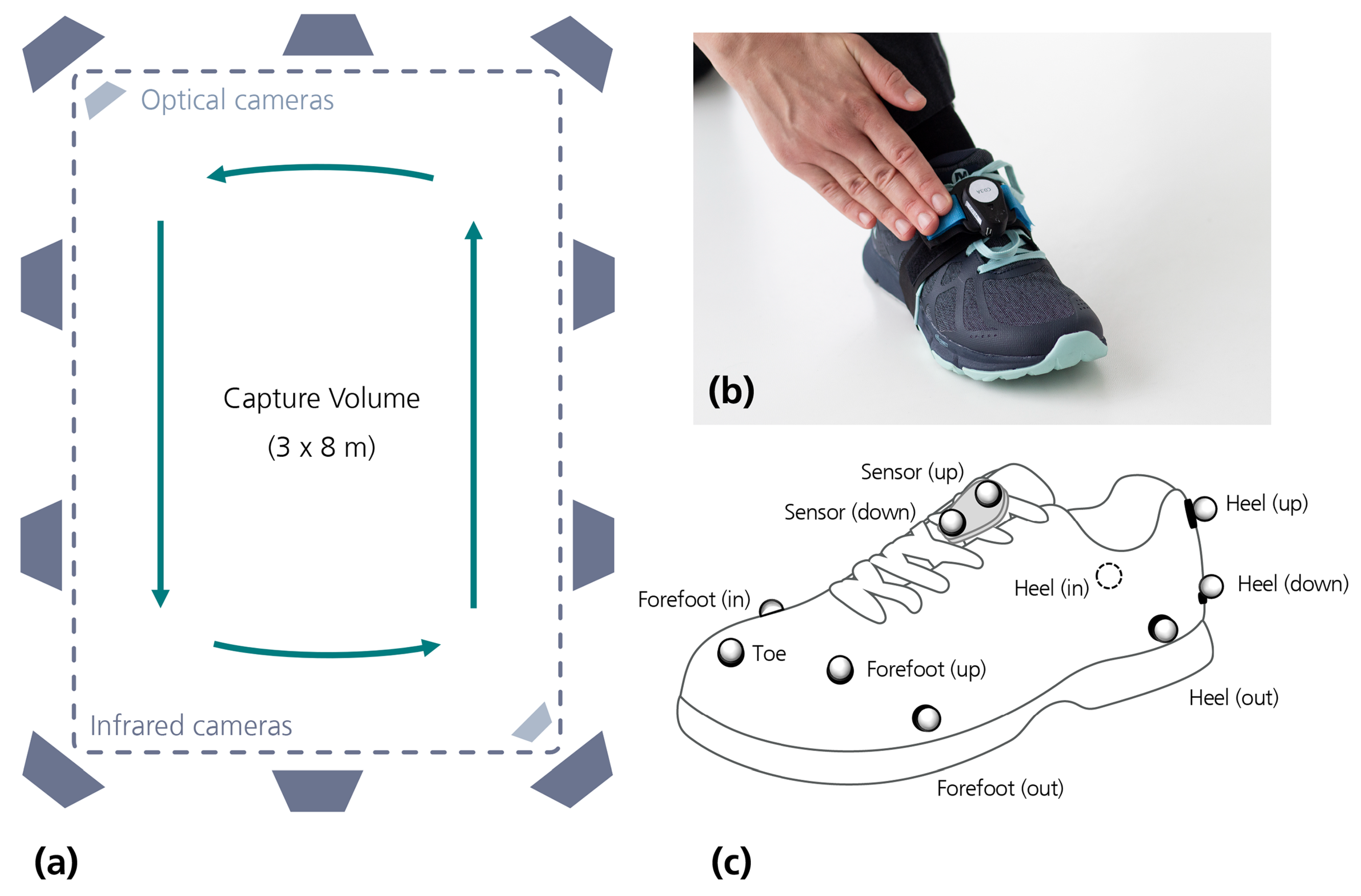 Sensors 21 03940 g001 Sensors 21 03940 g001