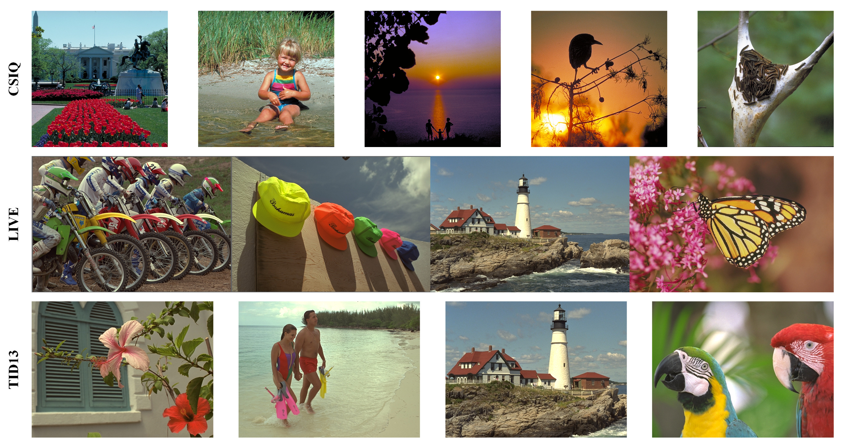 Sensors 21 03963 g001