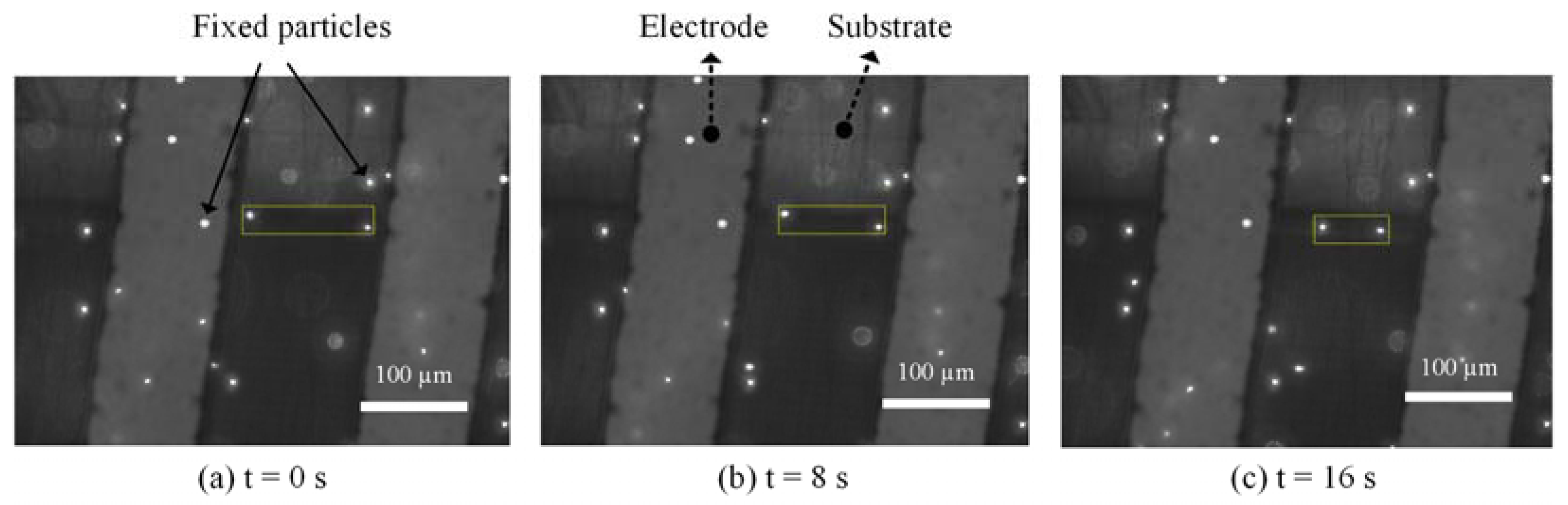 Sensors 21 03985 g005 Sensors 21 03985 g005