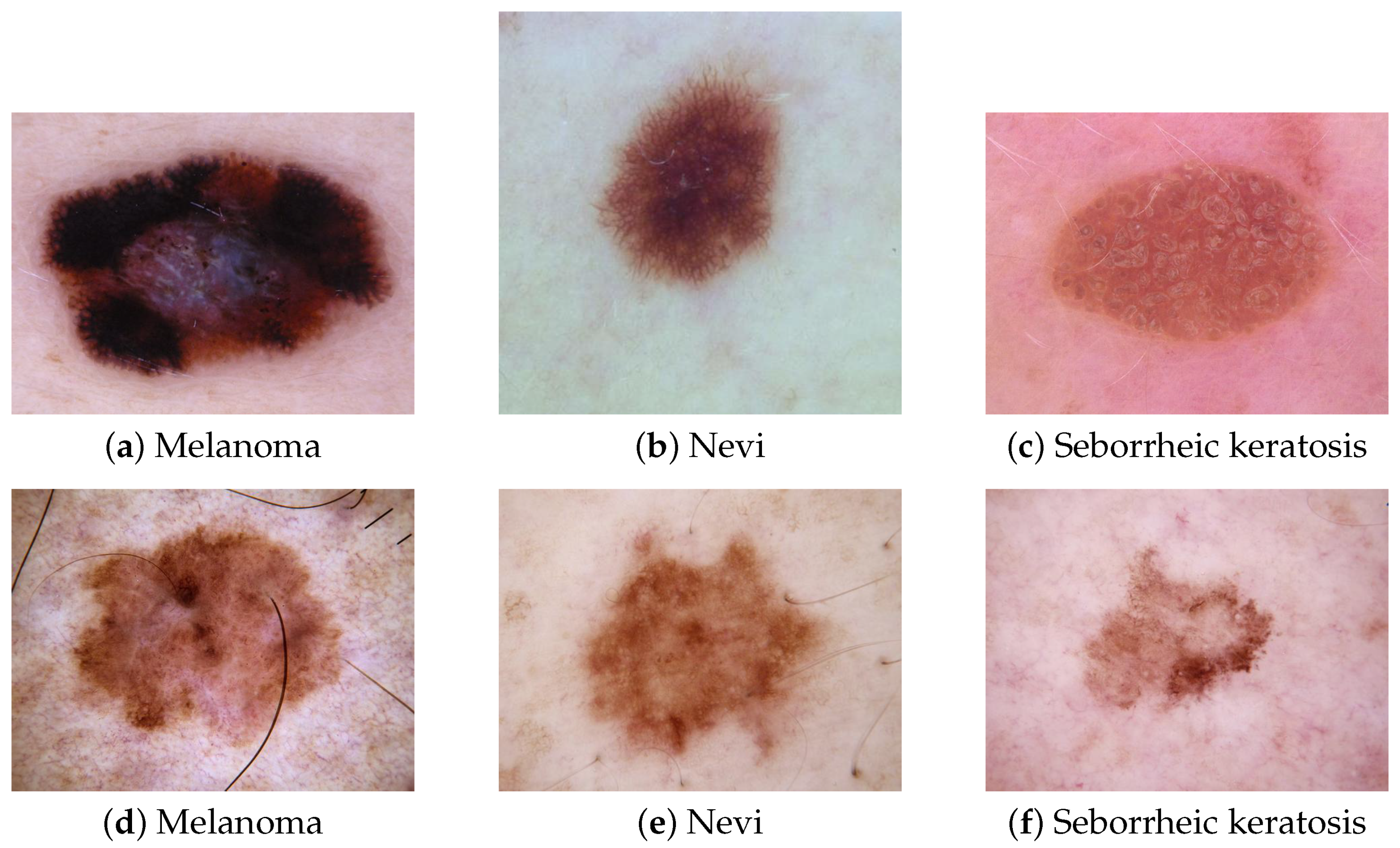 Sensors 21 03999 g001