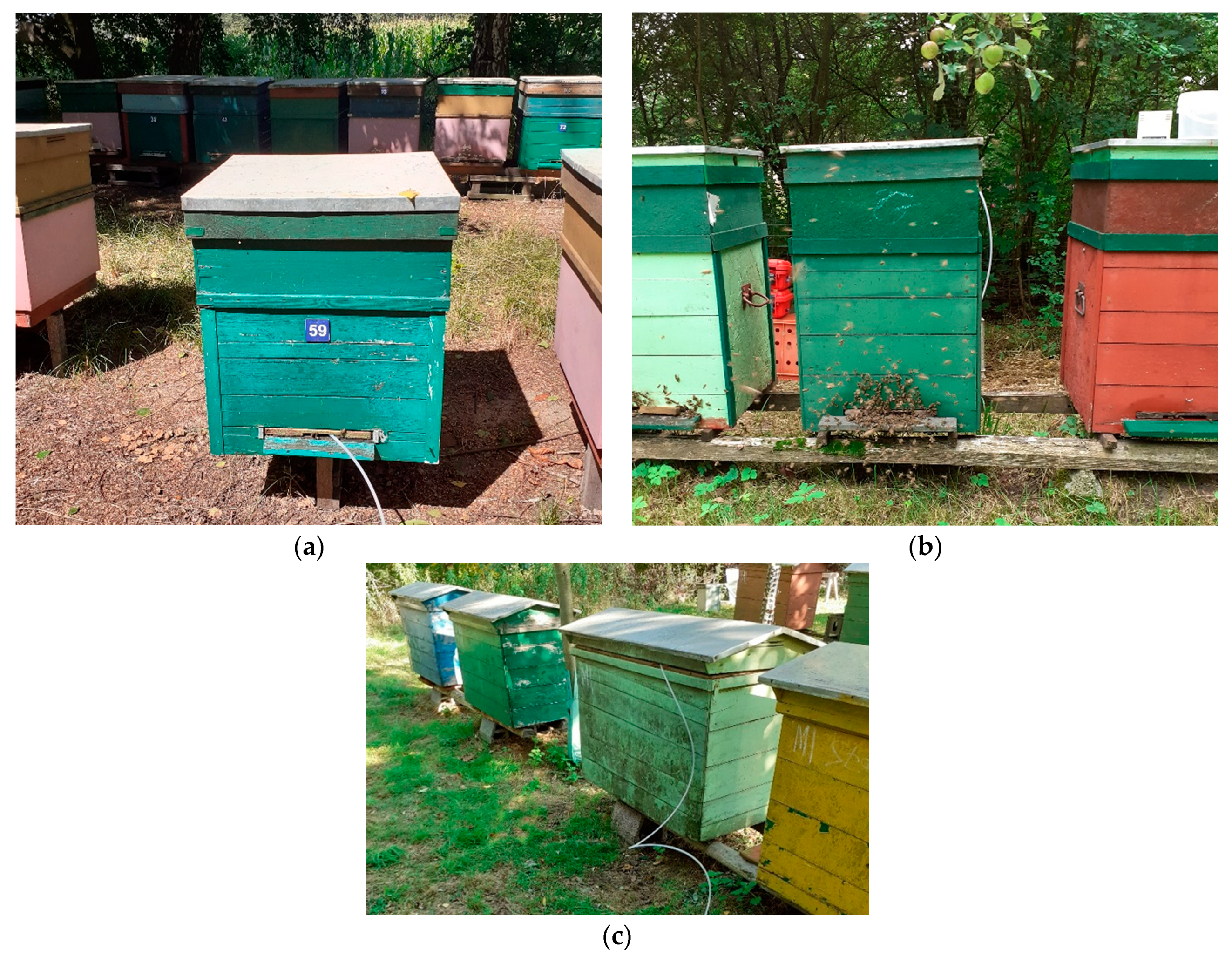 Sensors 21 04019 g002 Sensors 21 04019 g002