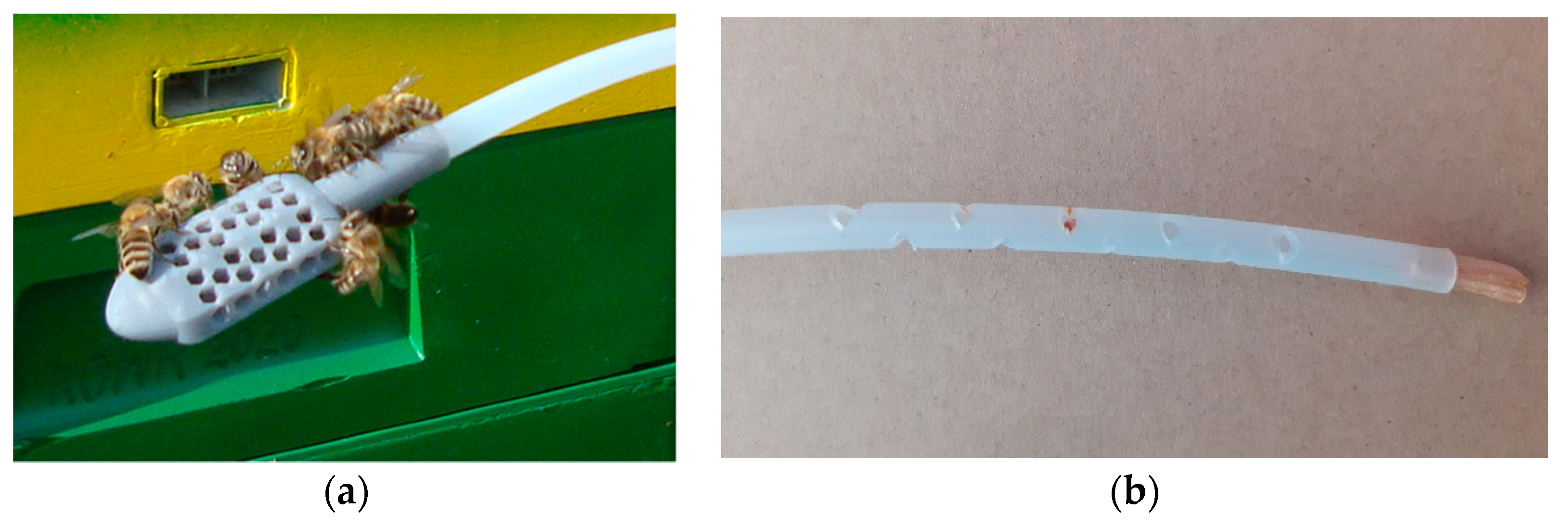 Sensors 21 04019 g007 Sensors 21 04019 g007