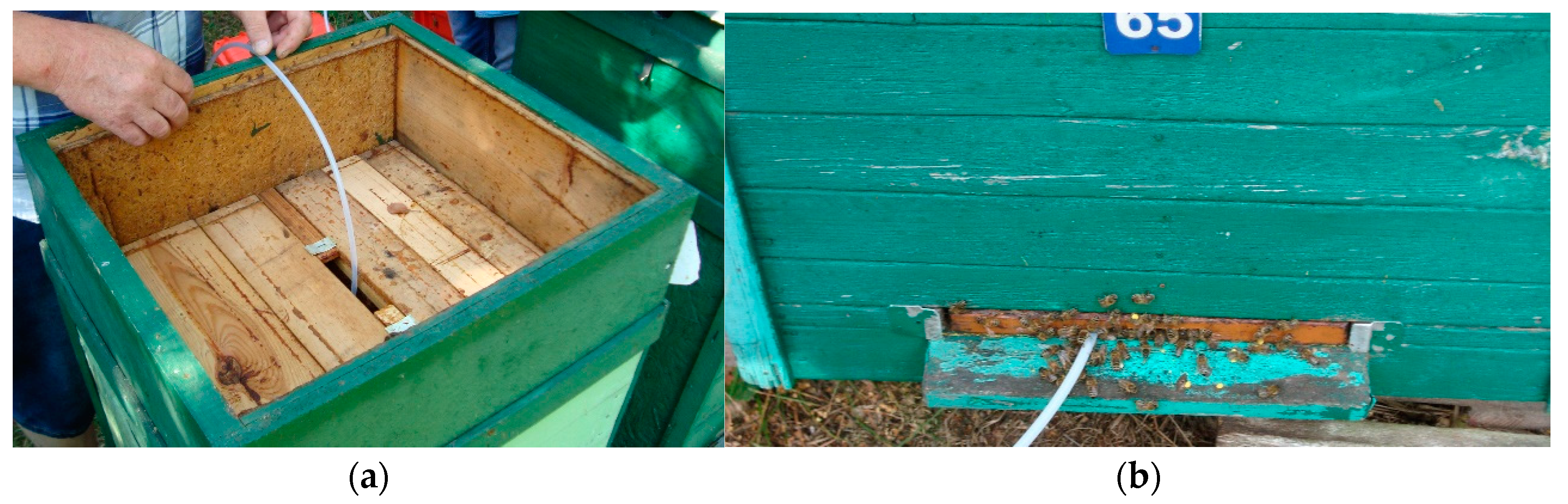 Sensors 21 04019 g008 Sensors 21 04019 g008