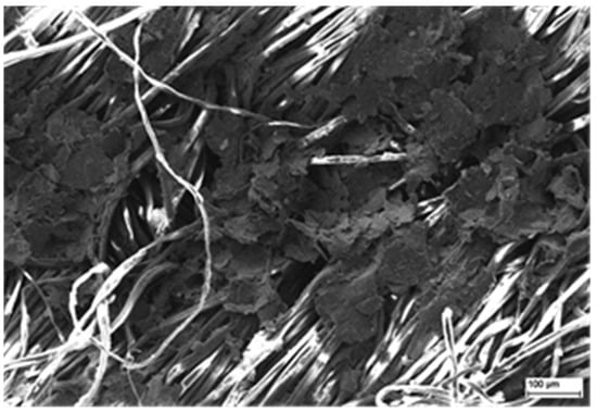 Figure 9. Scanning Electron Microscopy micrograph image presenting the morphology of the sample surface with printed graphene paste containing 10 wt.% GNP in PMMA organic vehicle. 