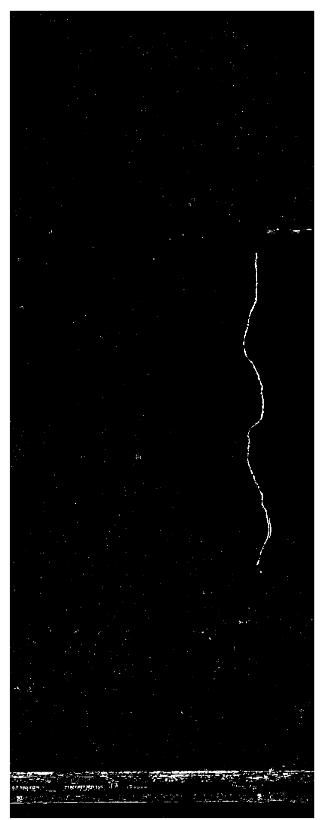 Sensors 21 04040 g013