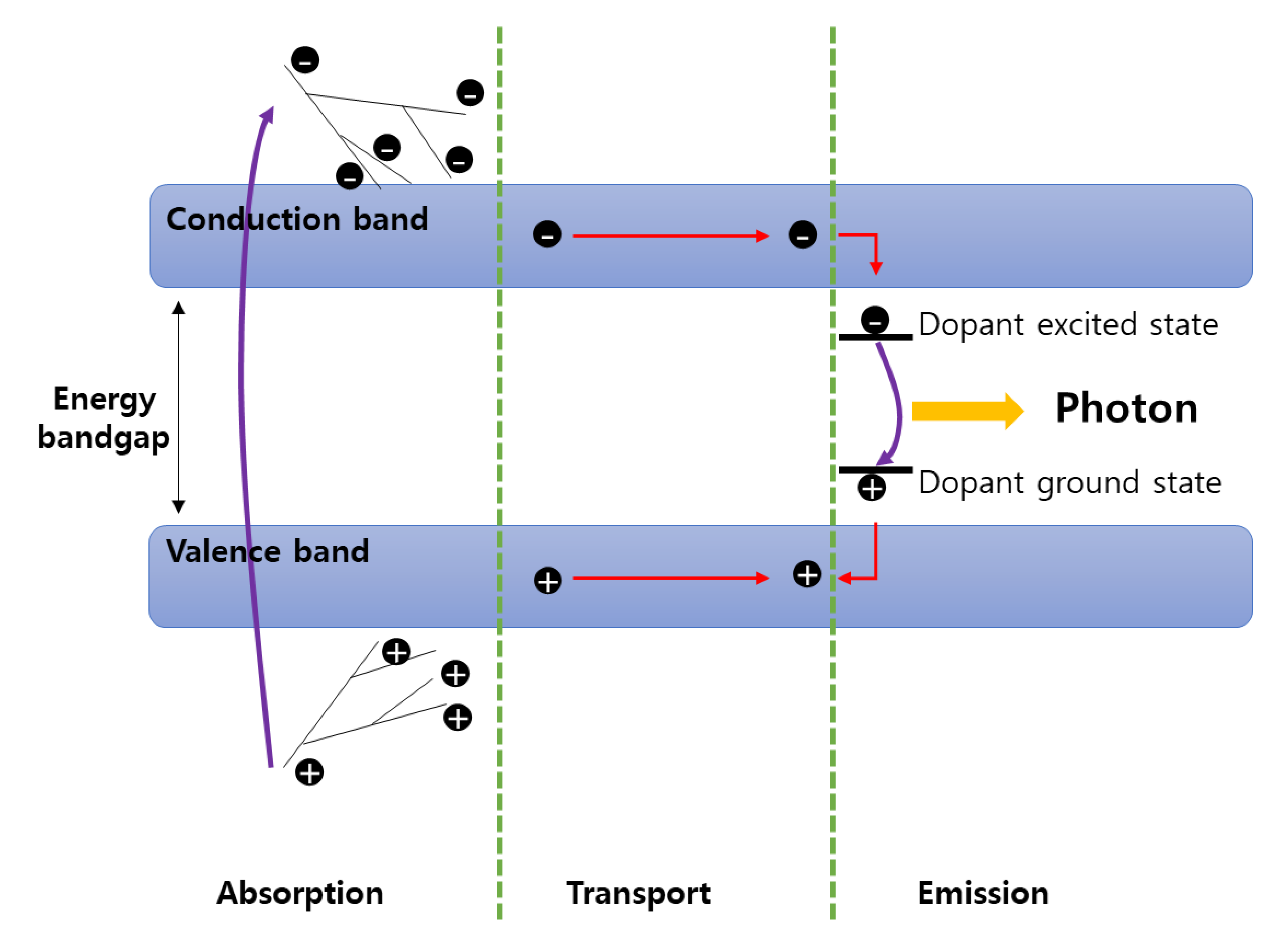 Sensors 21 04047 g001