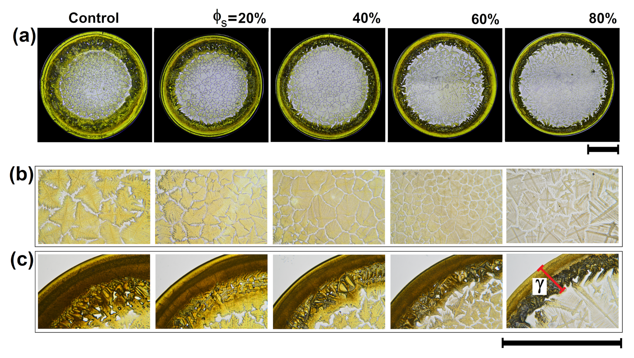 Sensors 21 04048 g002 Sensors 21 04048 g002