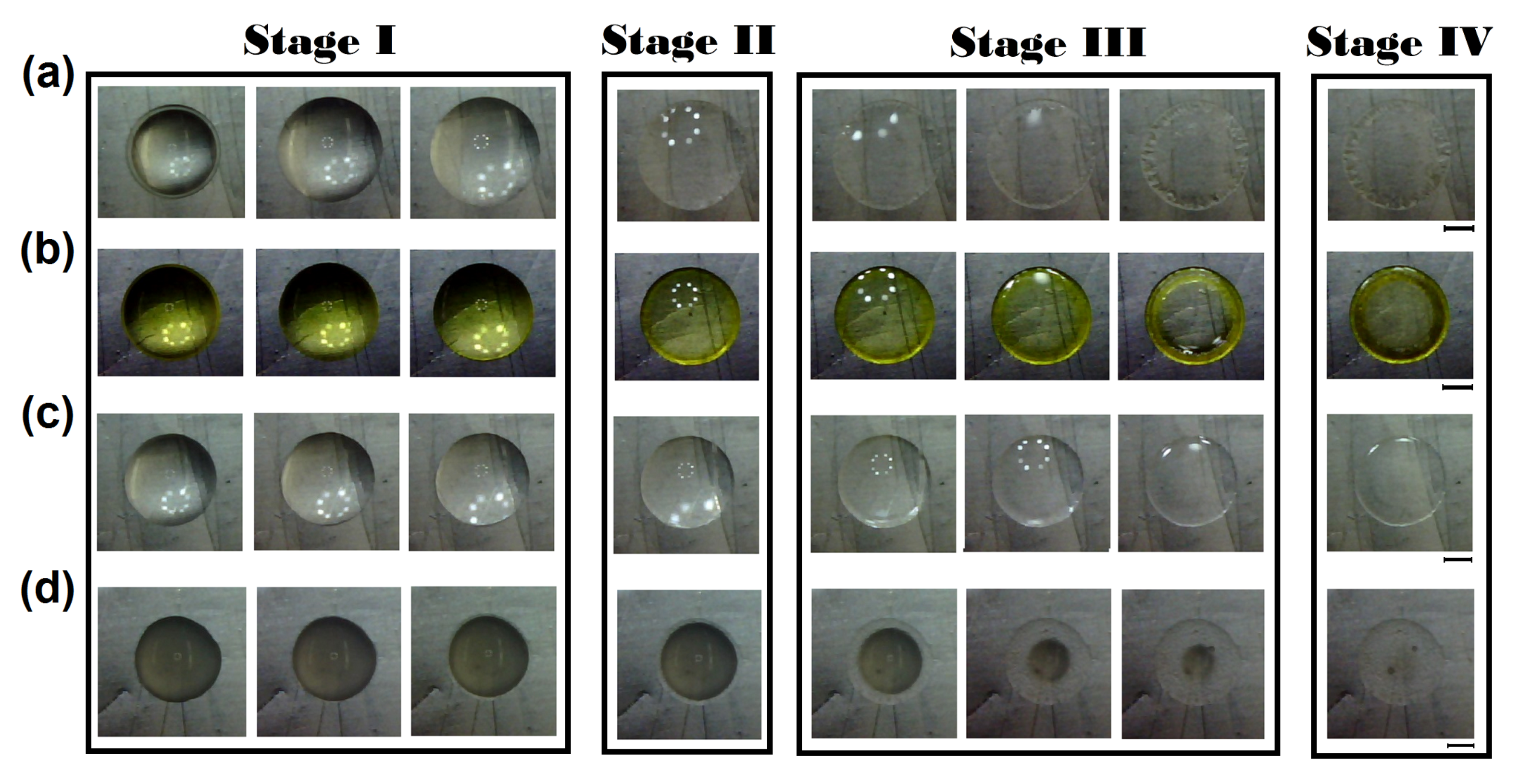 Sensors 21 04048 g009 Sensors 21 04048 g009