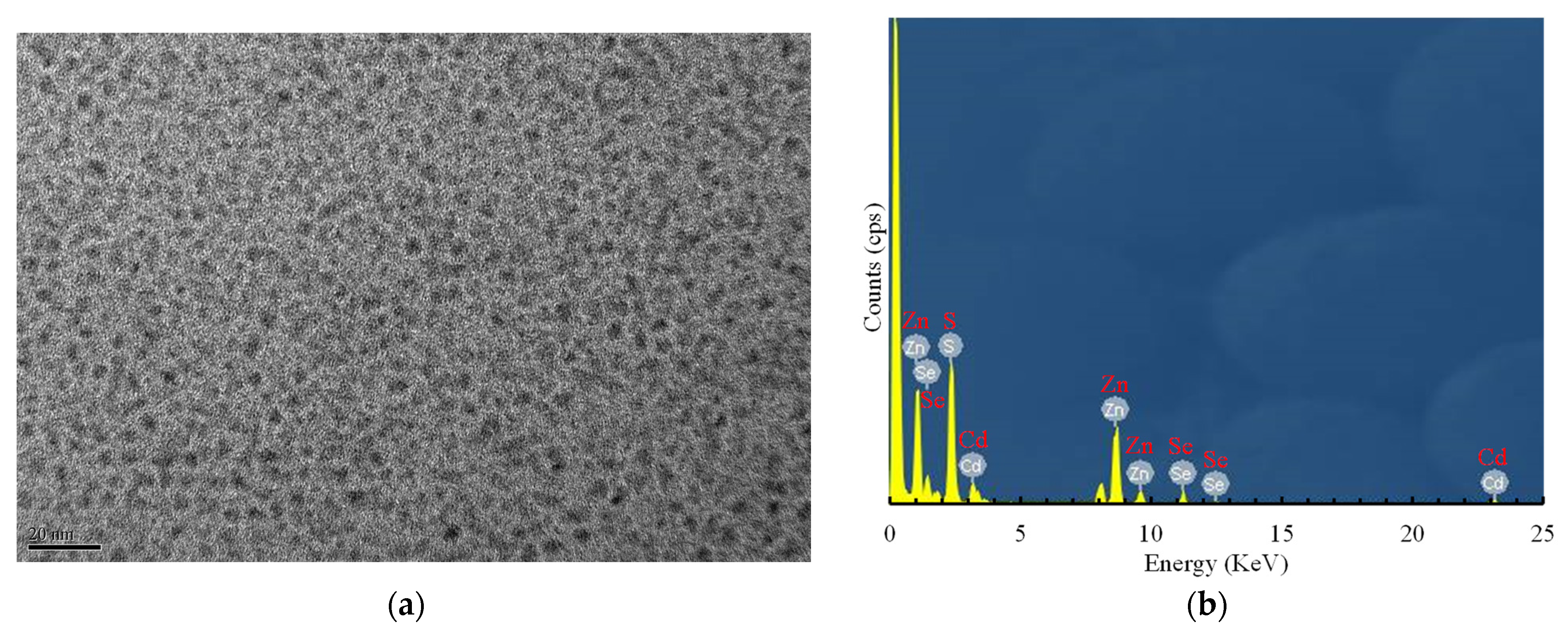 Sensors 21 04057 g001 Sensors 21 04057 g001