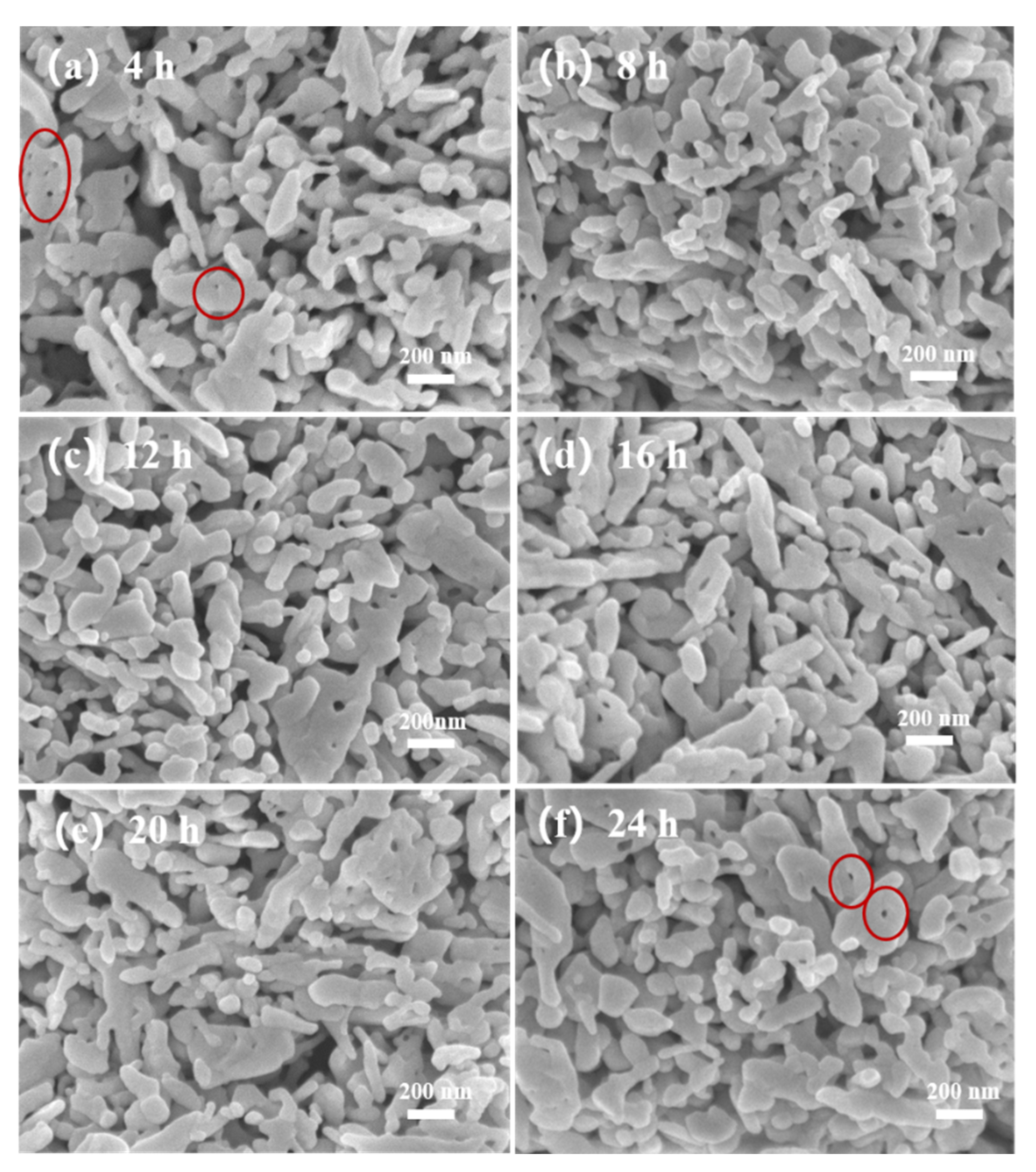 Sensors 21 04069 g005 Sensors 21 04069 g005