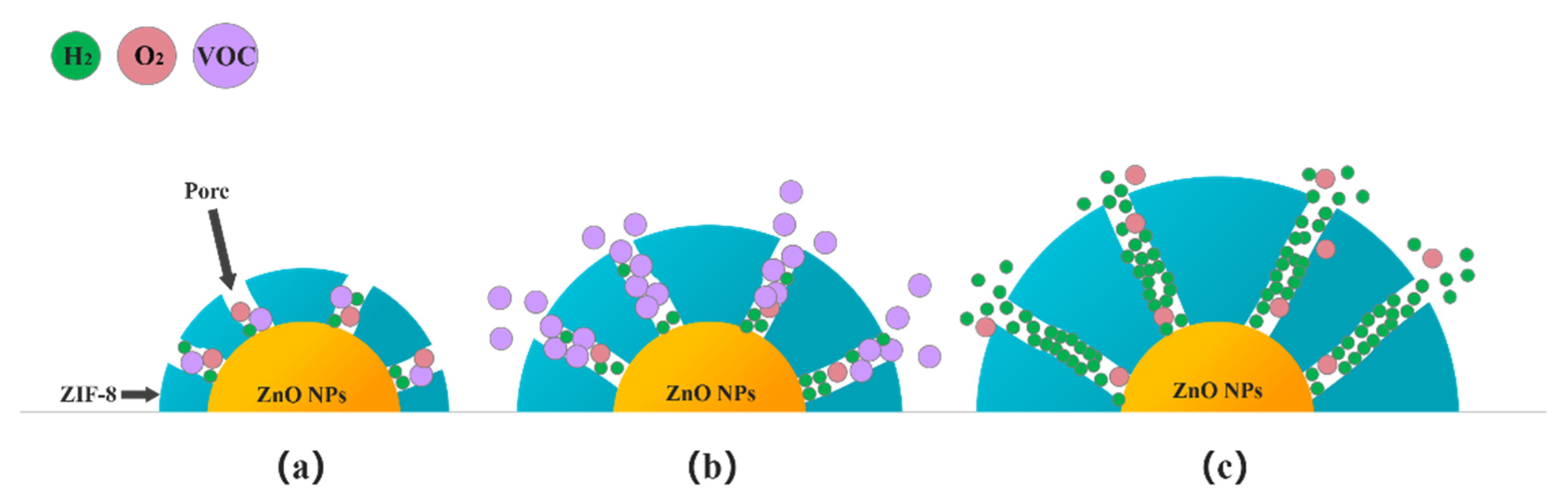 Sensors 21 04069 g016 Sensors 21 04069 g016