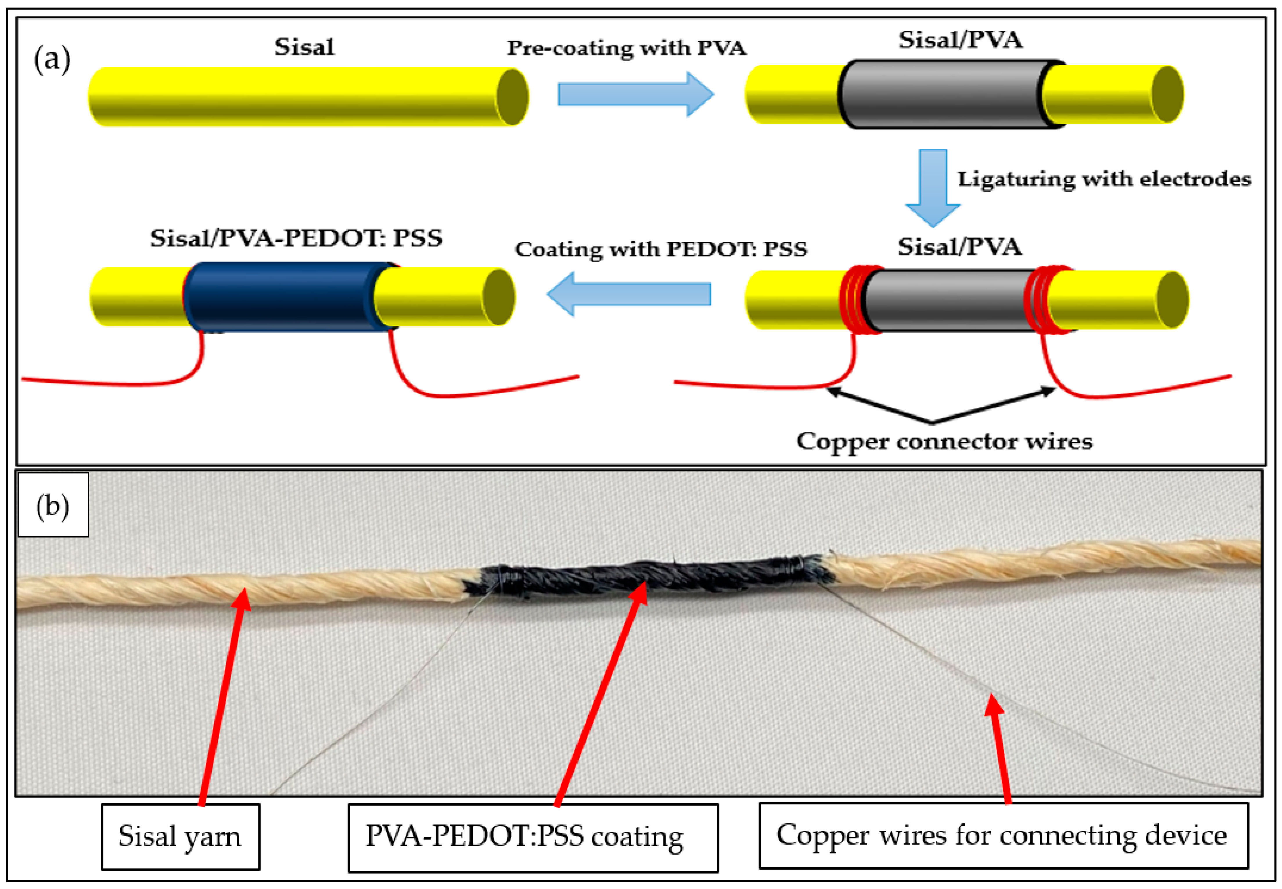 Sensors 21 04083 g001
