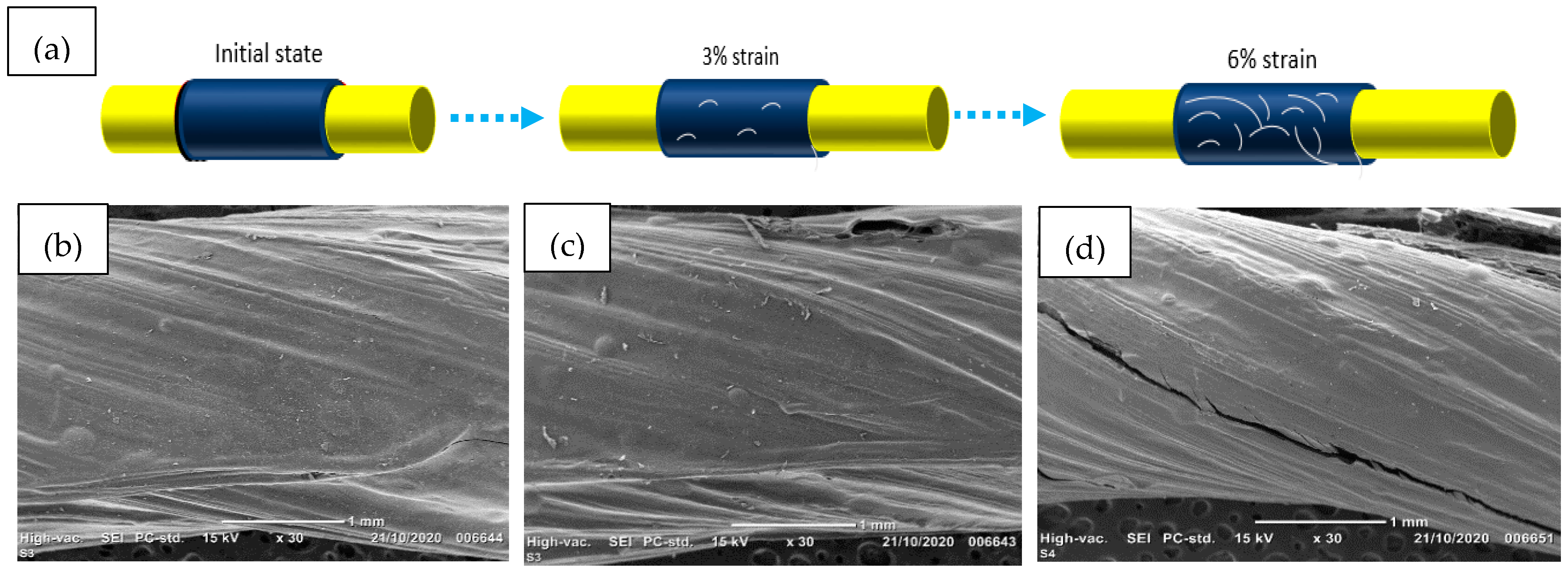 Sensors 21 04083 g006