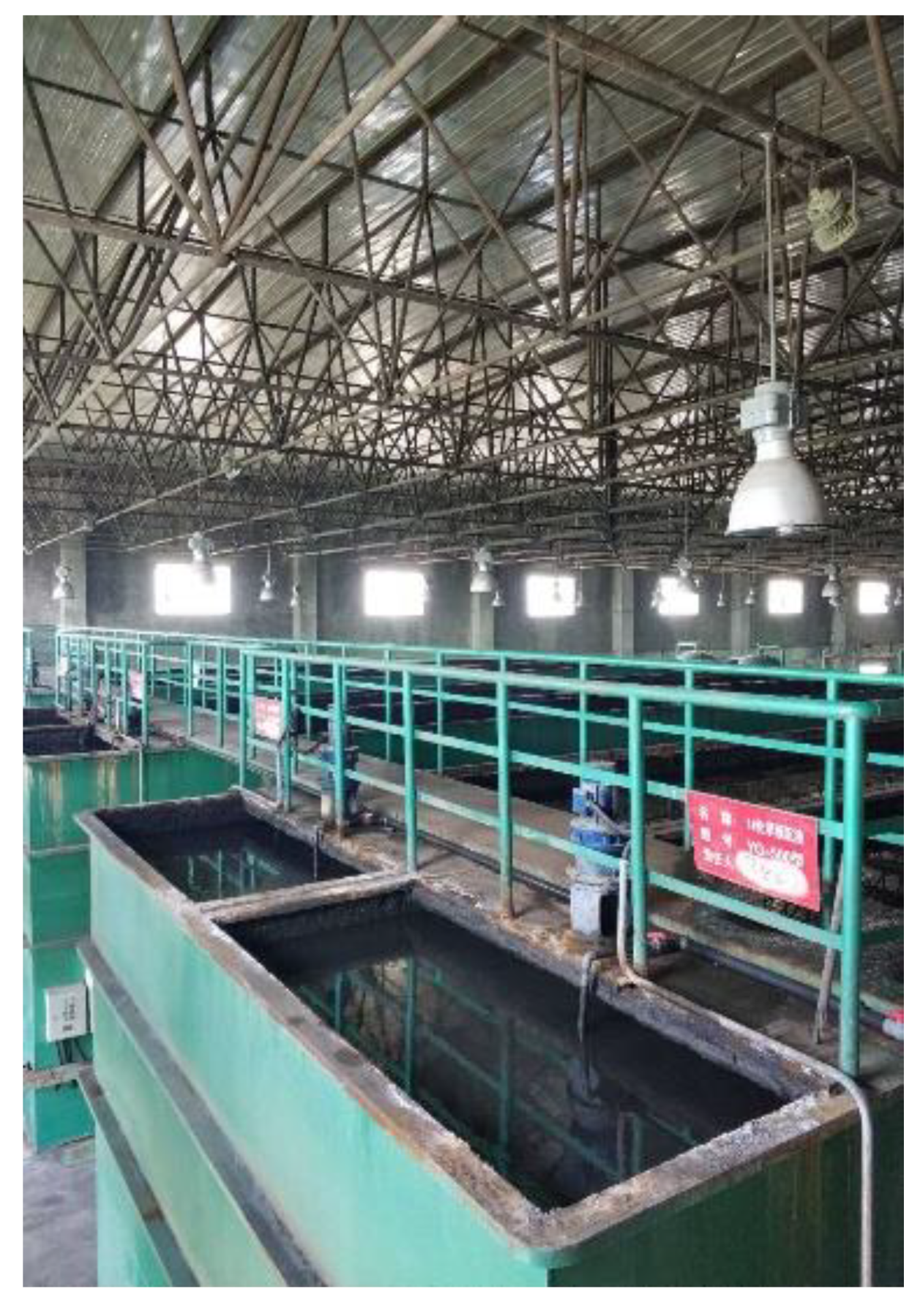 Sensors 21 04114 g002 Sensors 21 04114 g002