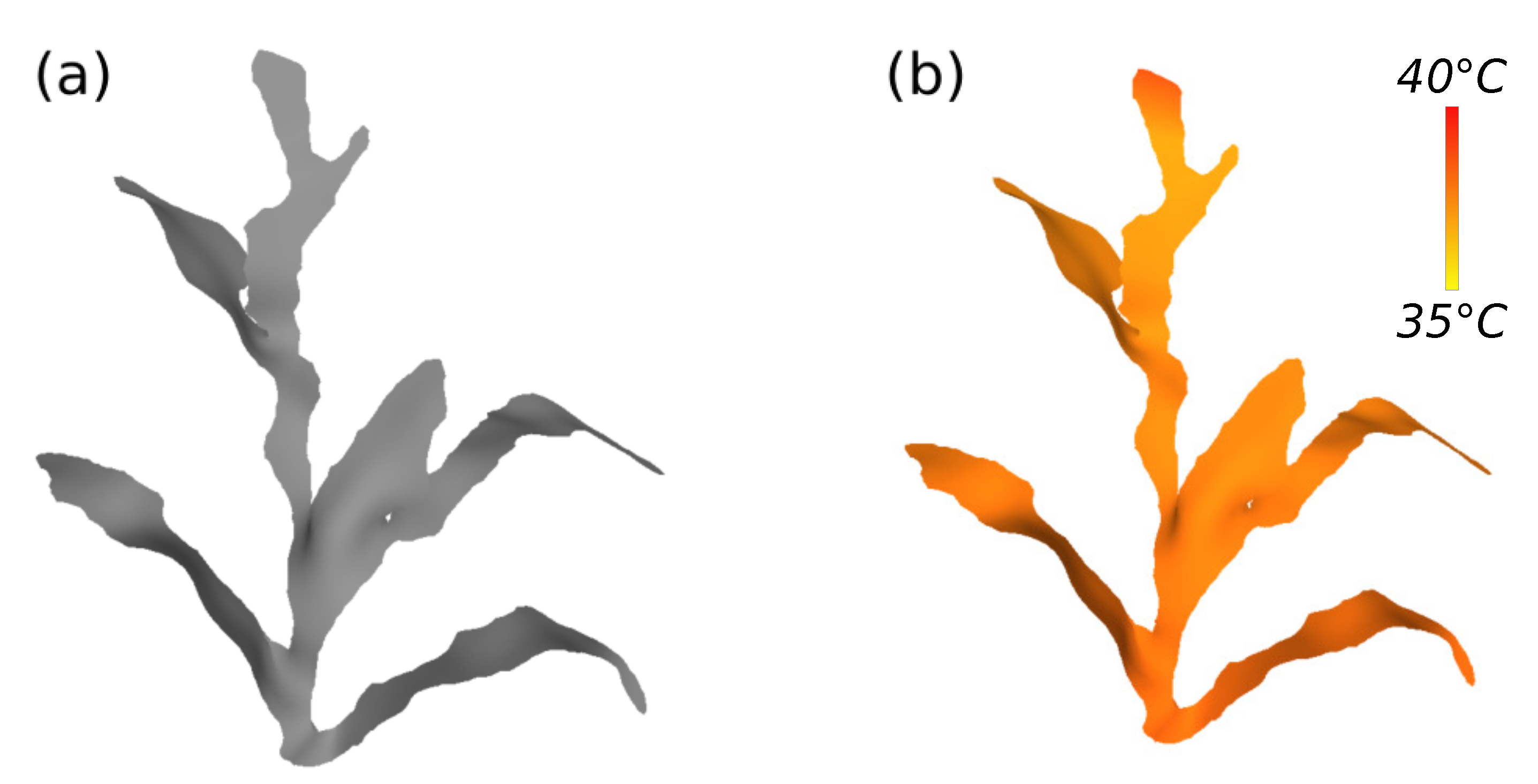 Sensors 21 04115 g014 Sensors 21 04115 g014