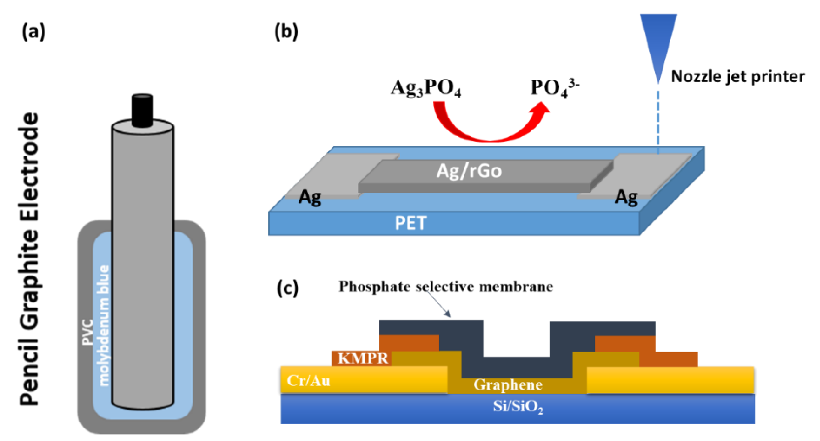 Sensors 21 04131 g007
