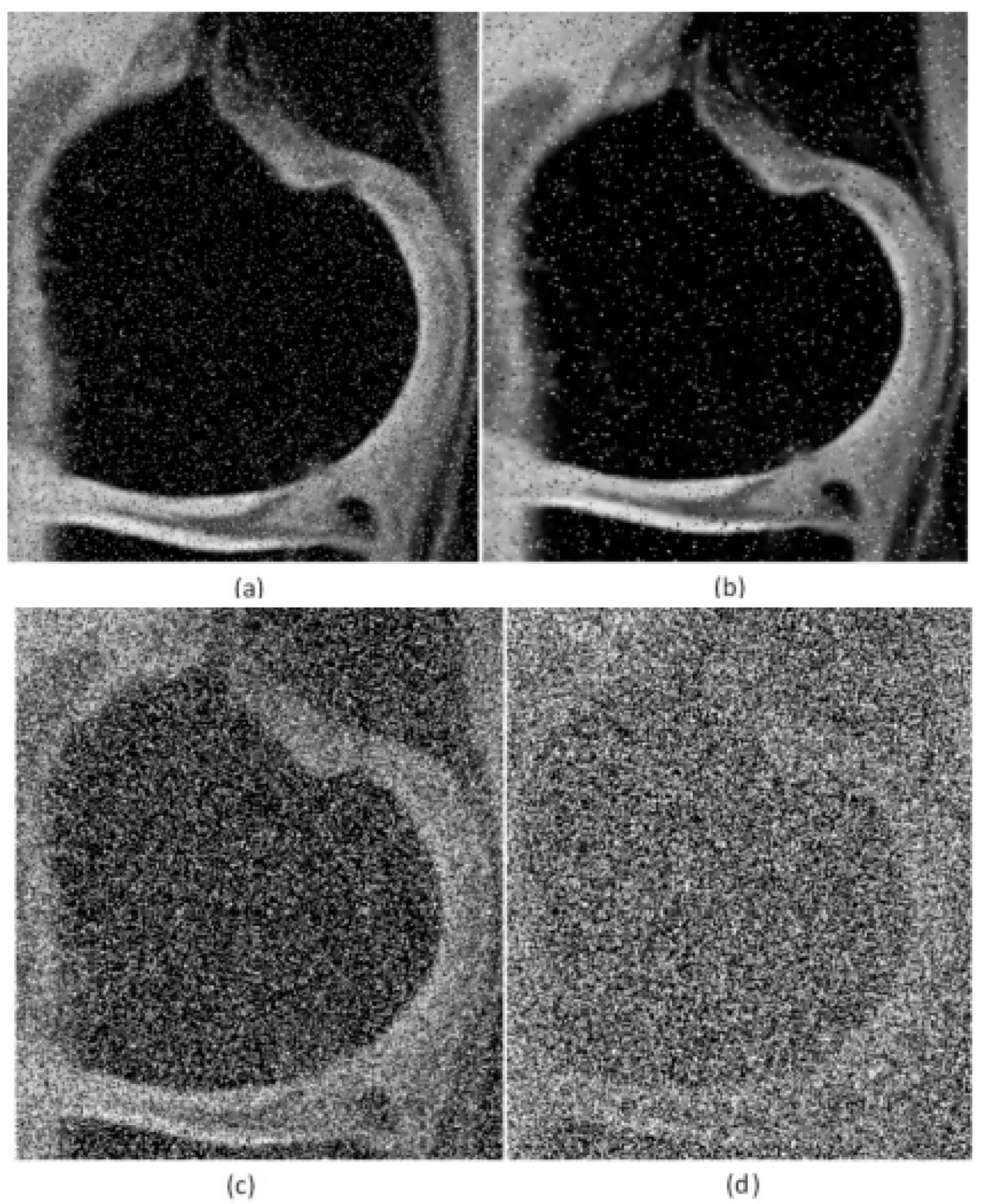 Sensors 21 04161 g002 Sensors 21 04161 g002