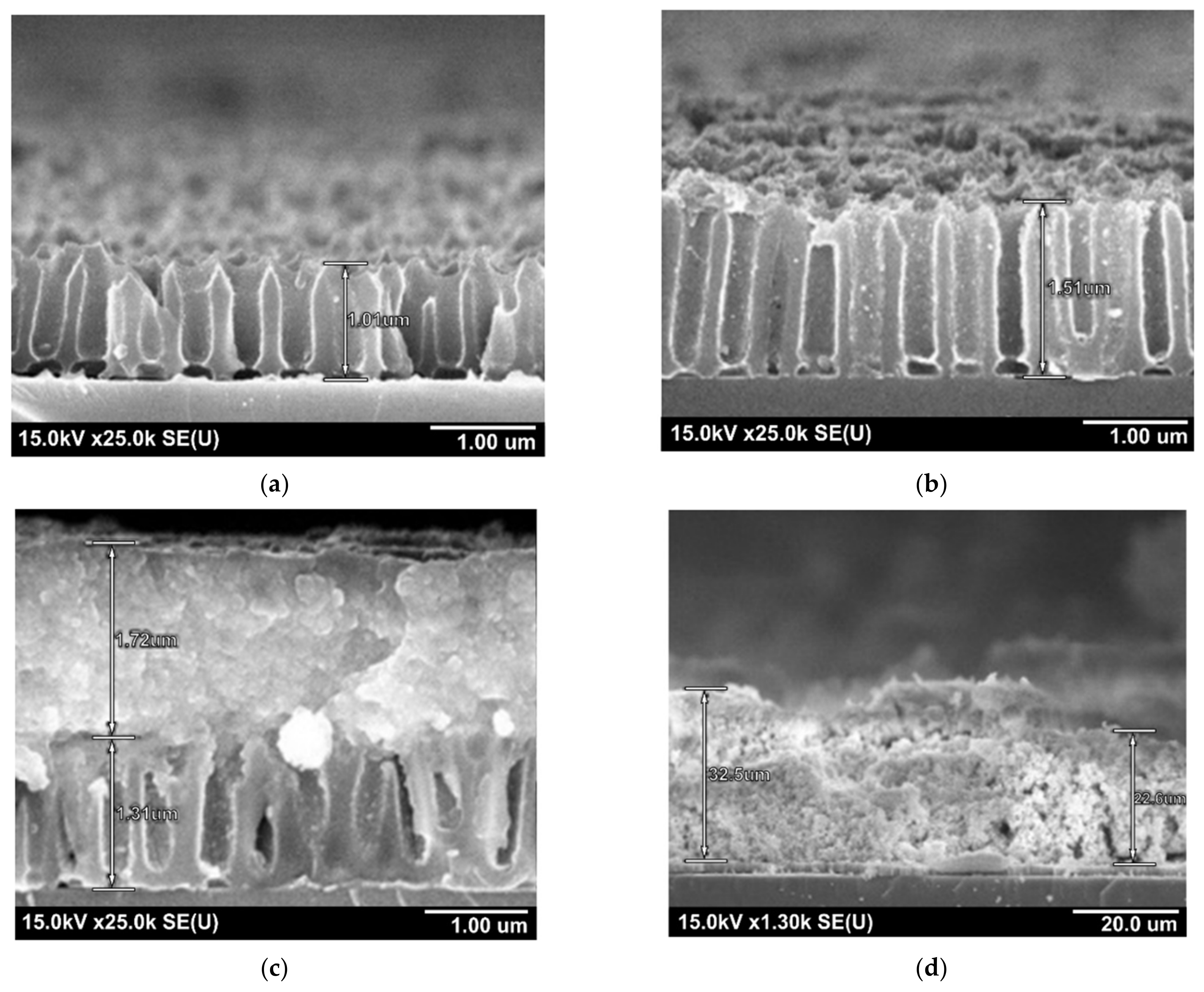Sensors 21 04169 g005