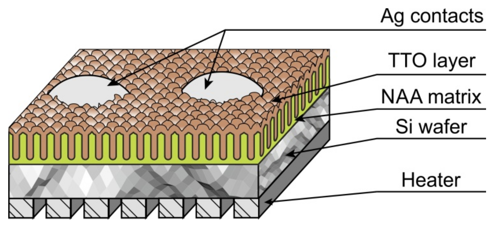 Sensors 21 04169 g008