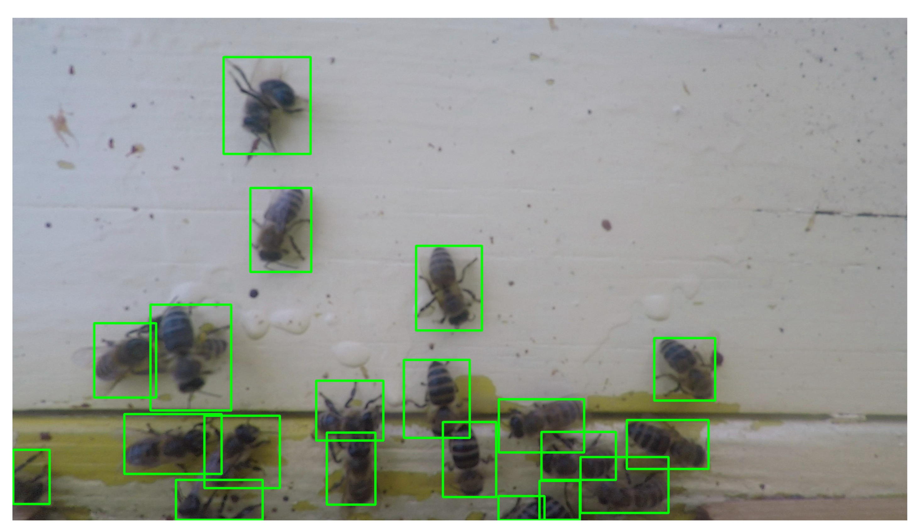 Sensors 21 04195 g008 Sensors 21 04195 g008