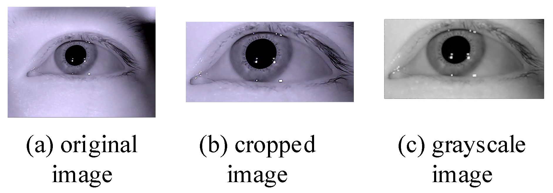 Sensors 21 04209 g002 Sensors 21 04209 g002