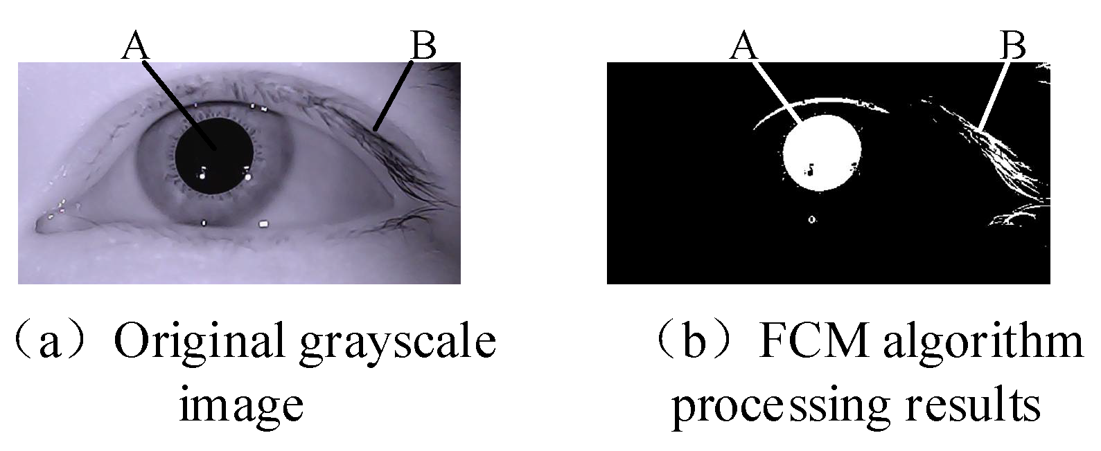 Sensors 21 04209 g003 Sensors 21 04209 g003