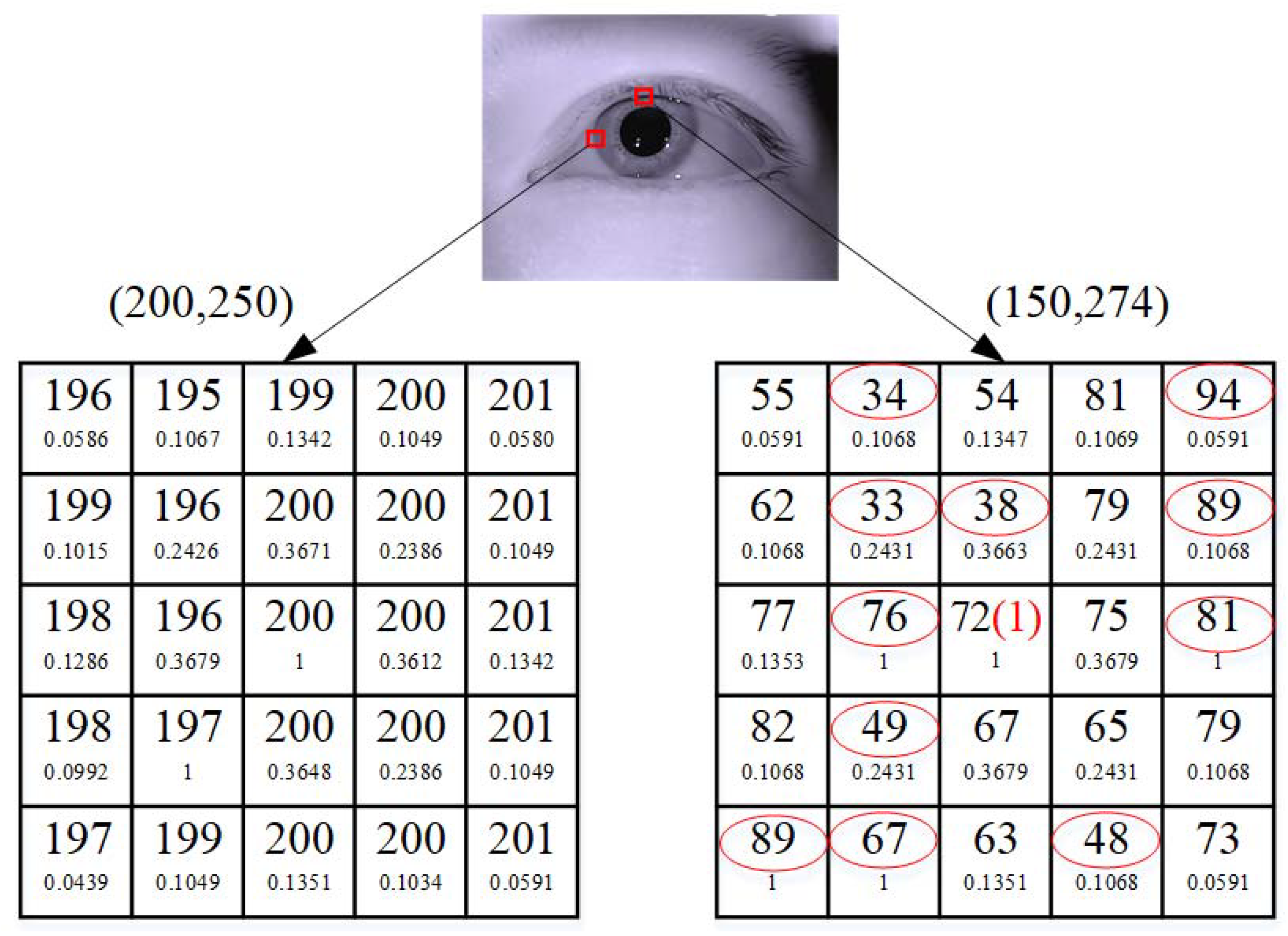 Sensors 21 04209 g006 Sensors 21 04209 g006