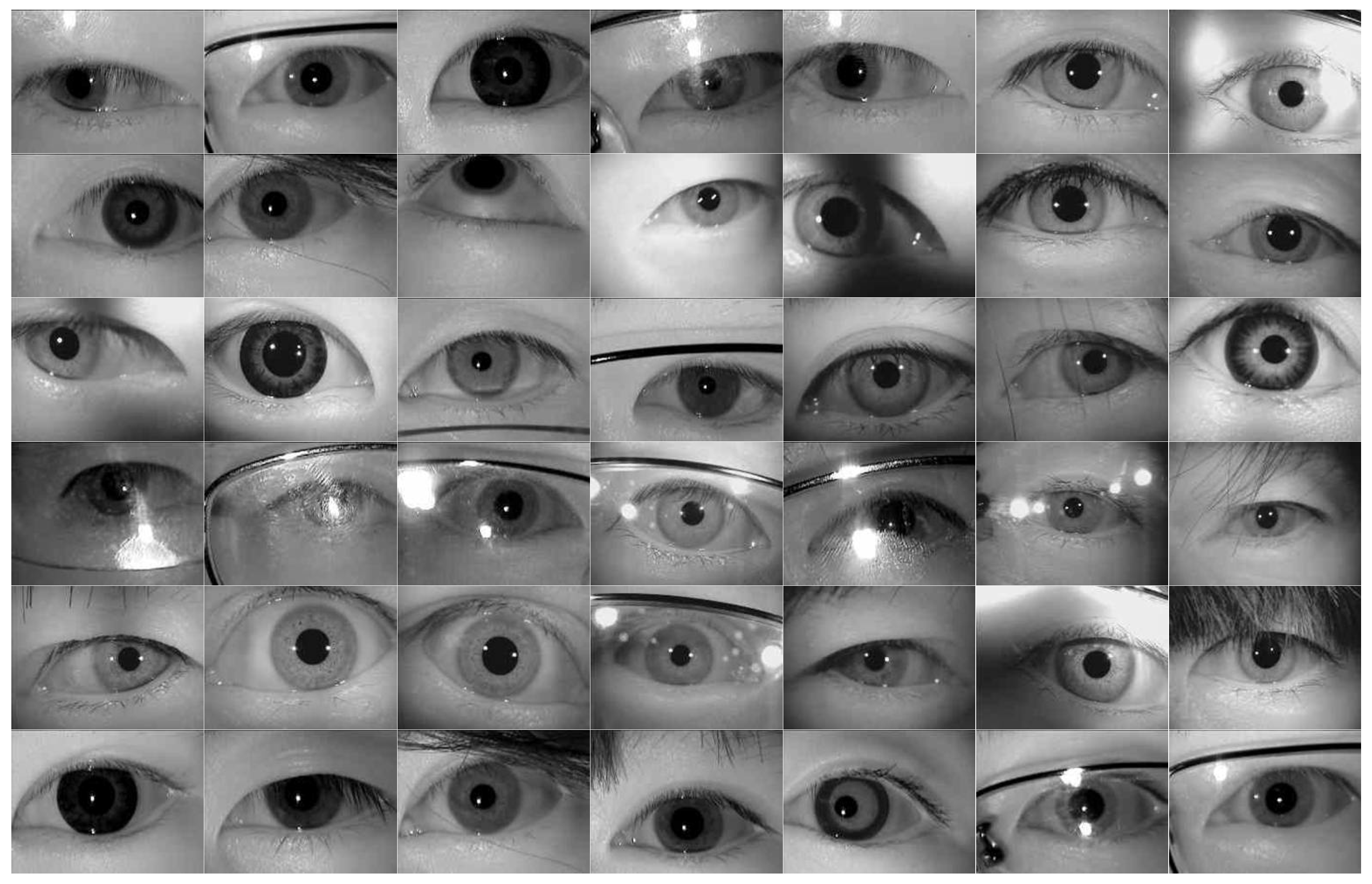 Sensors 21 04209 g008 Sensors 21 04209 g008