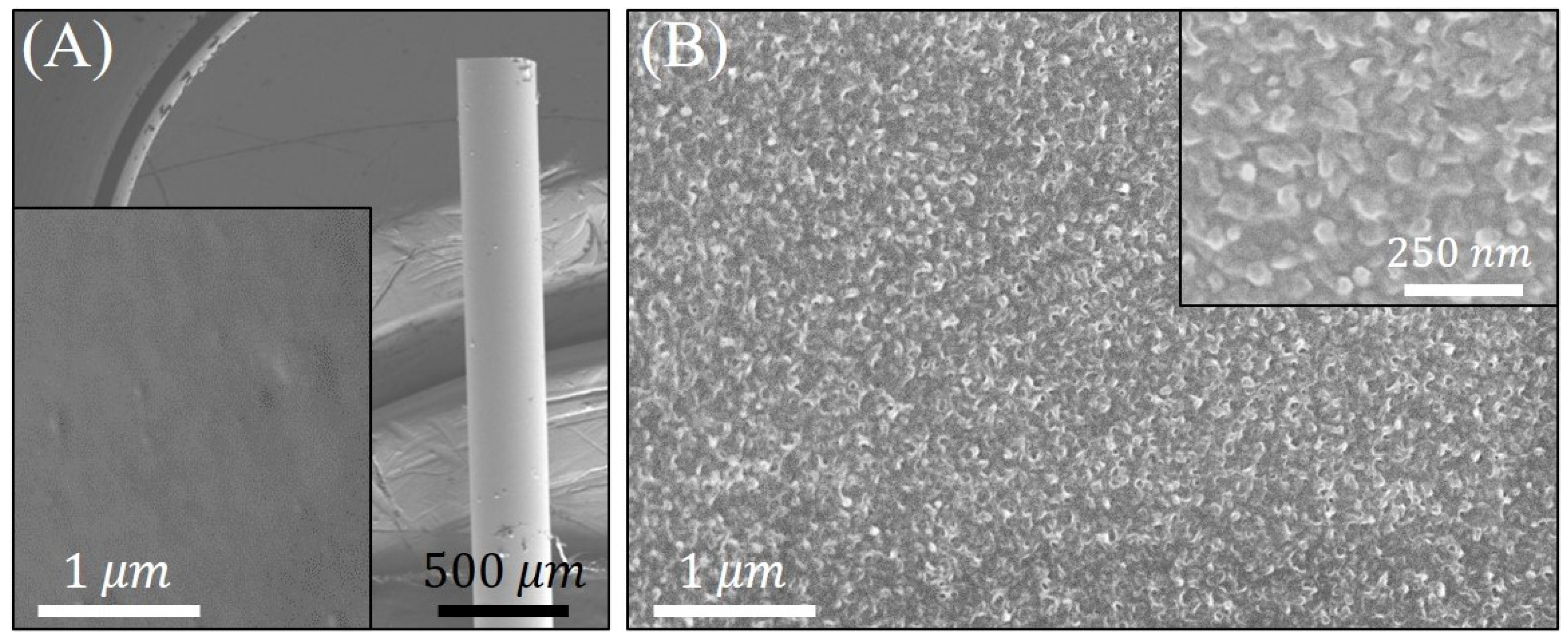 Sensors 21 04218 g004 Sensors 21 04218 g004