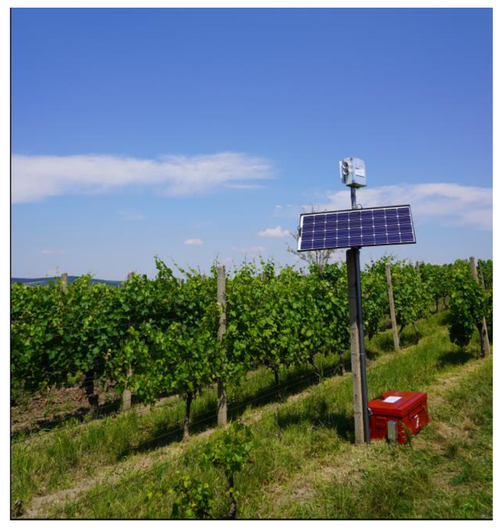 Sensors 21 04244 g003 550