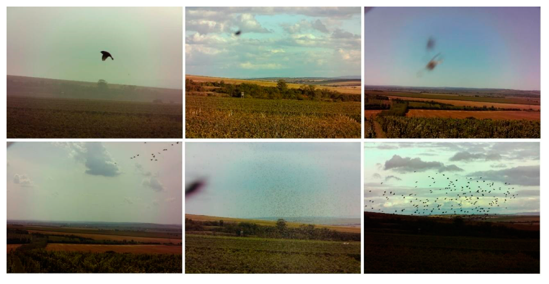 Sensors 21 04244 g006 550