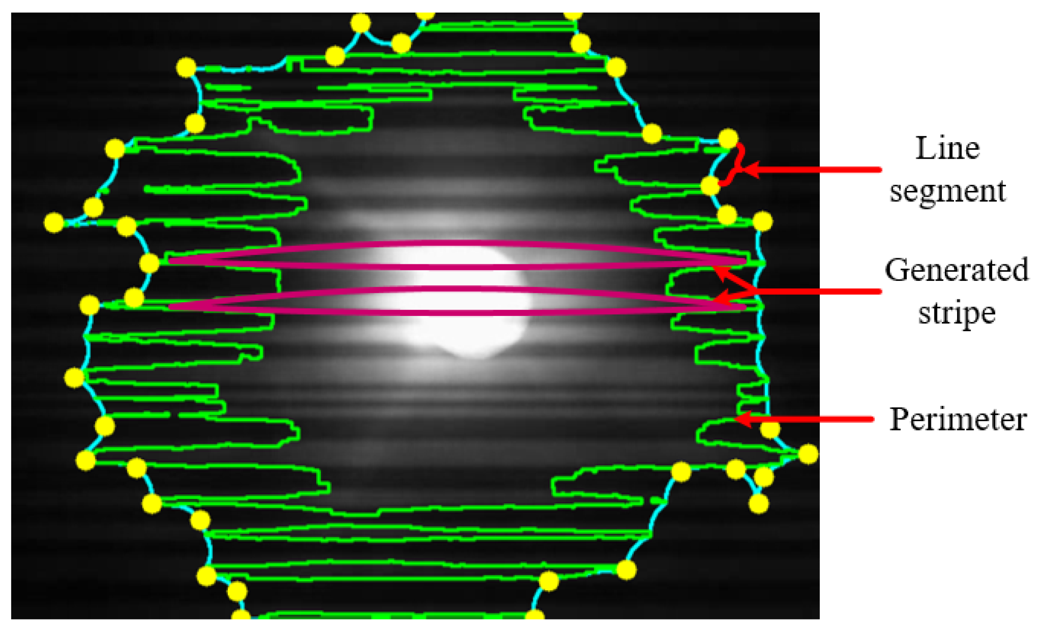 Sensors 21 04283 g006