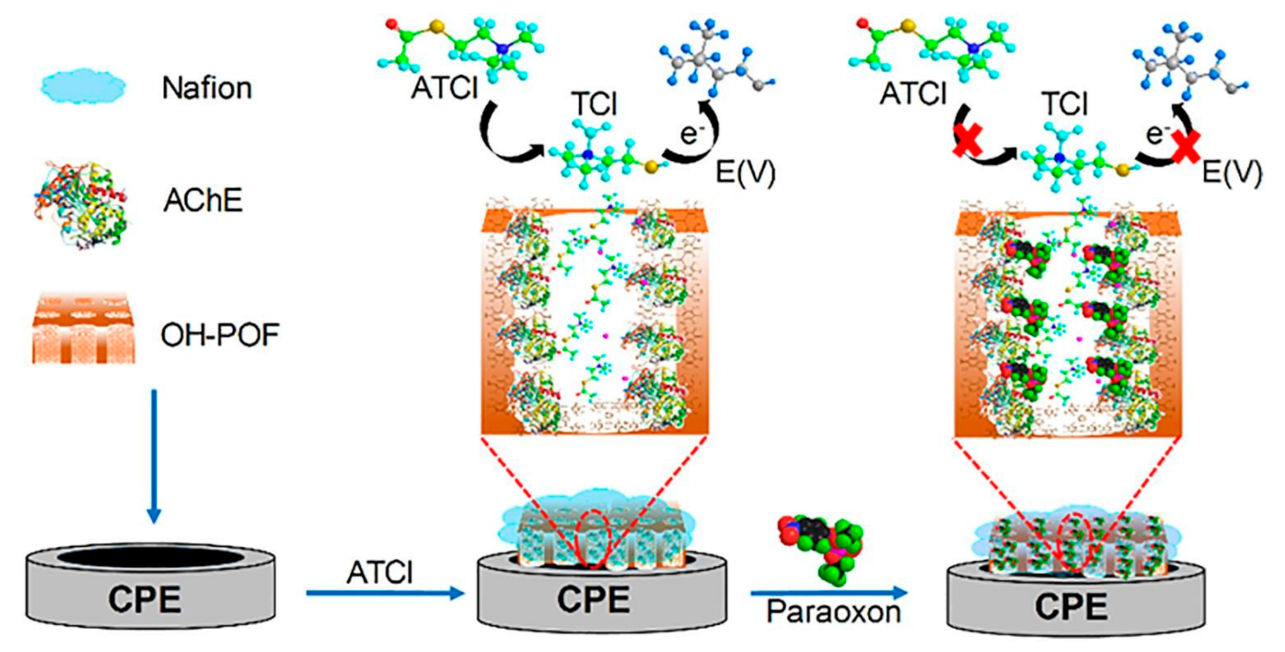 Sensors 21 04300 g012