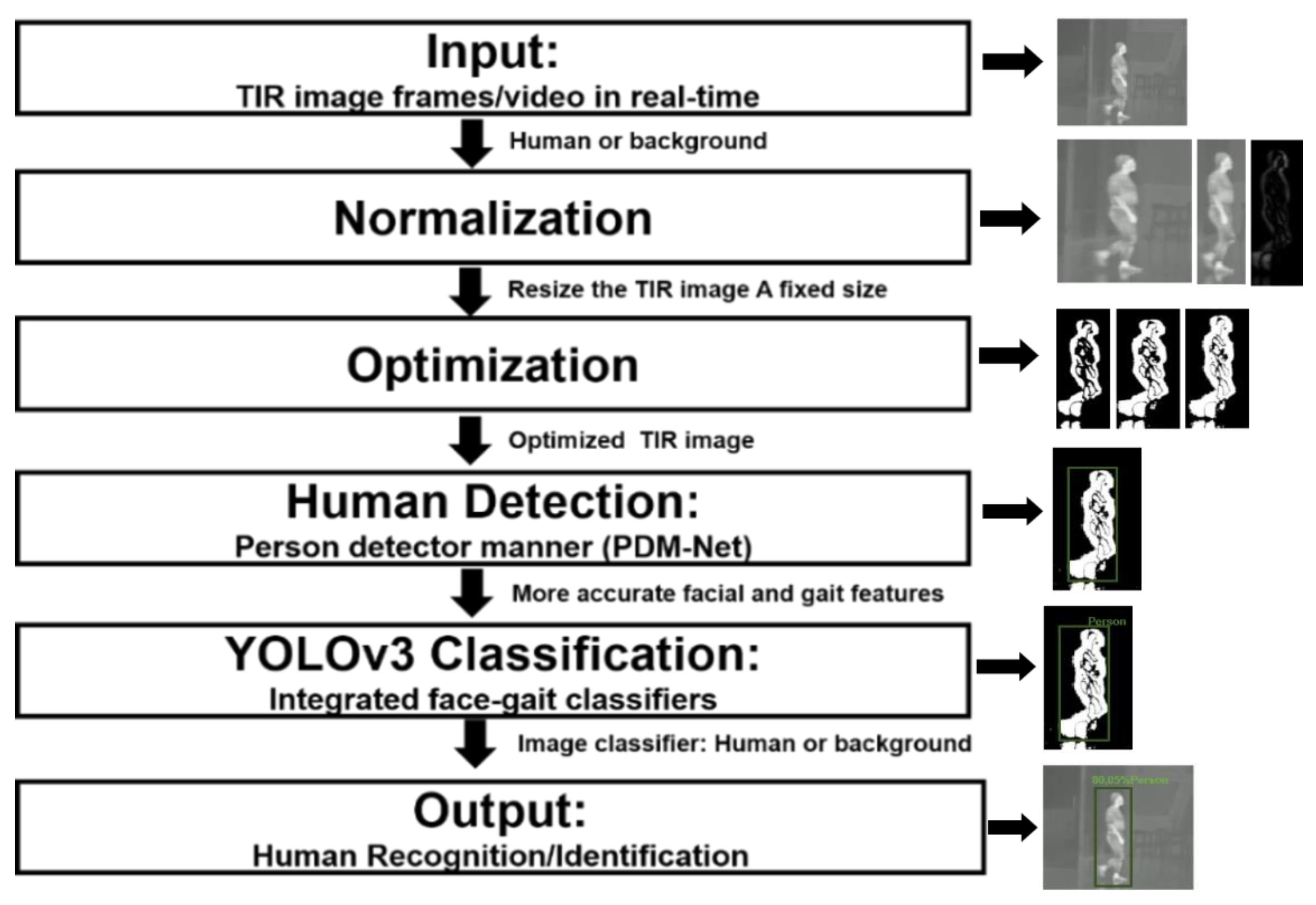 Real-Time Human Recognition at Night via Integrated Face and Gait ...