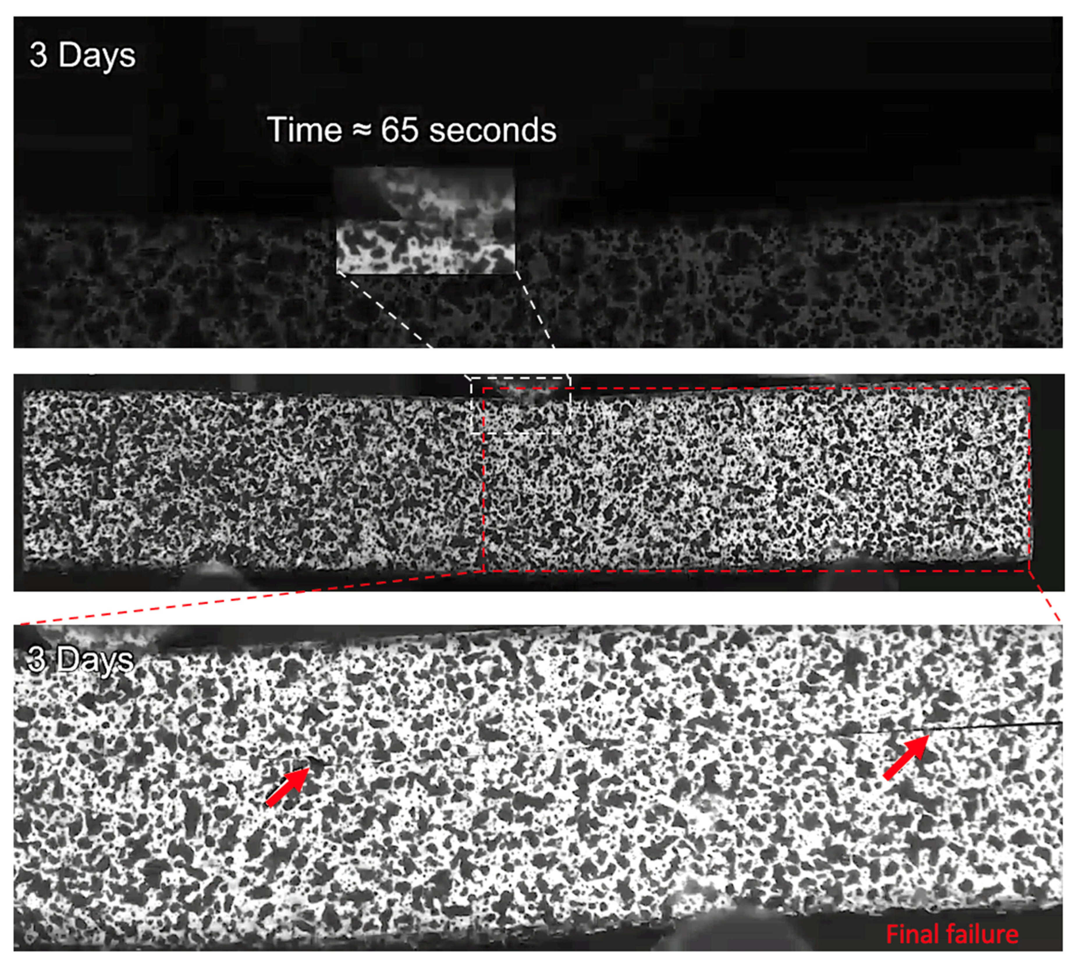 Sensors 21 04351 g012 550