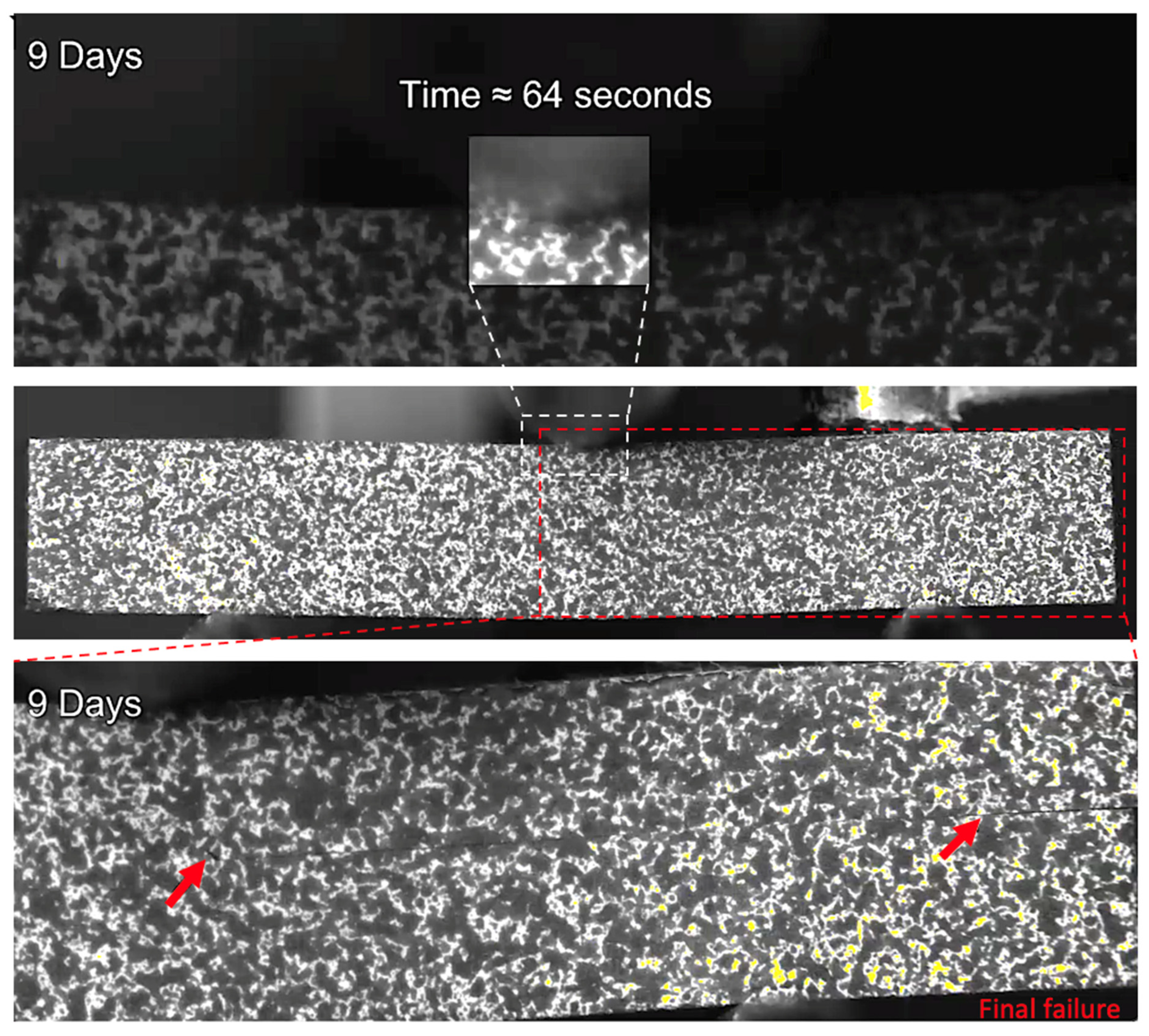 Sensors 21 04351 g013 550